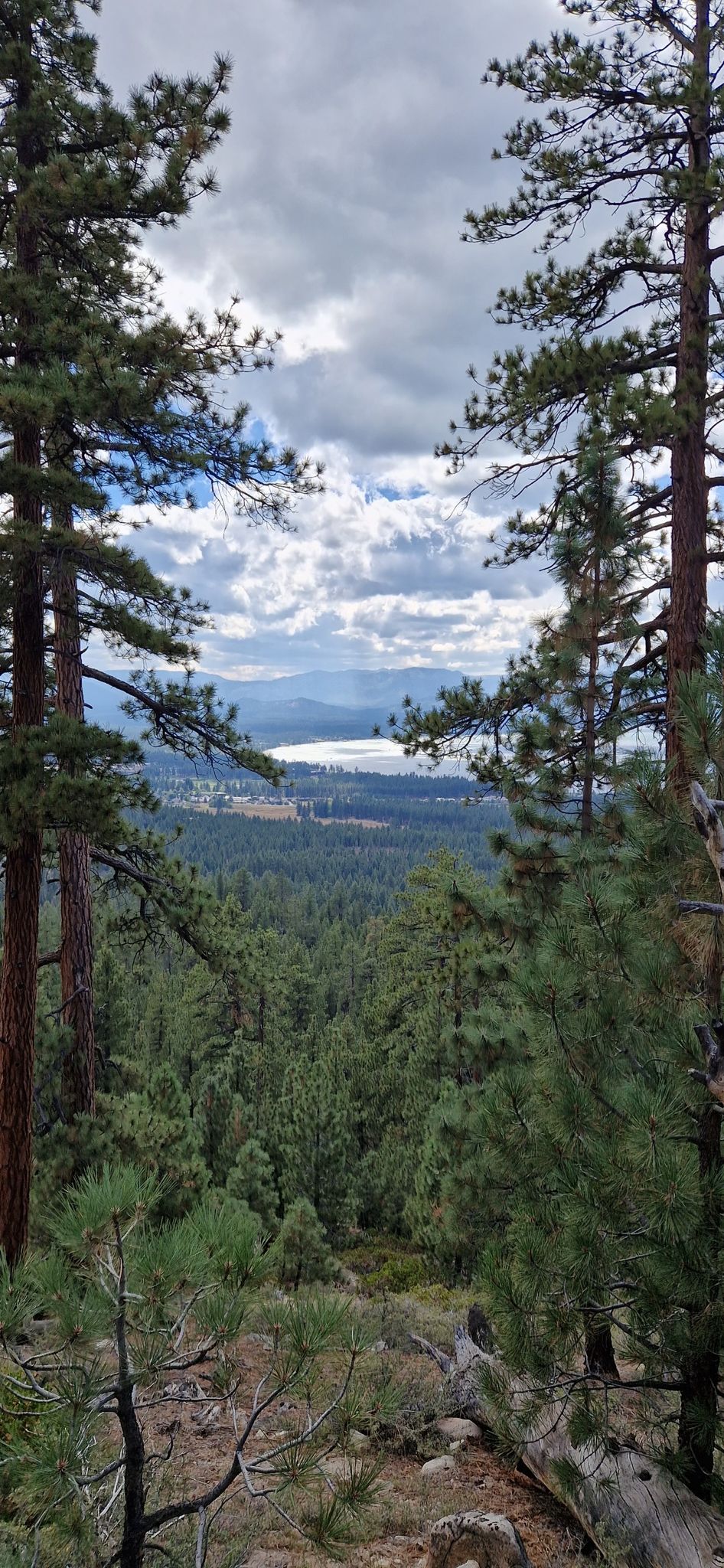 Distant lake and forest visible through tall pine trees under cloudy skies. - Lam Watah Historic Trailhead – Lake Tahoe view loop from Stateline