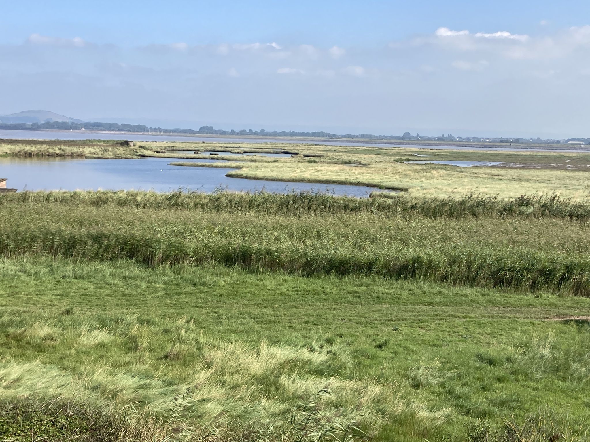 Amazing views from the tall bird hide. 