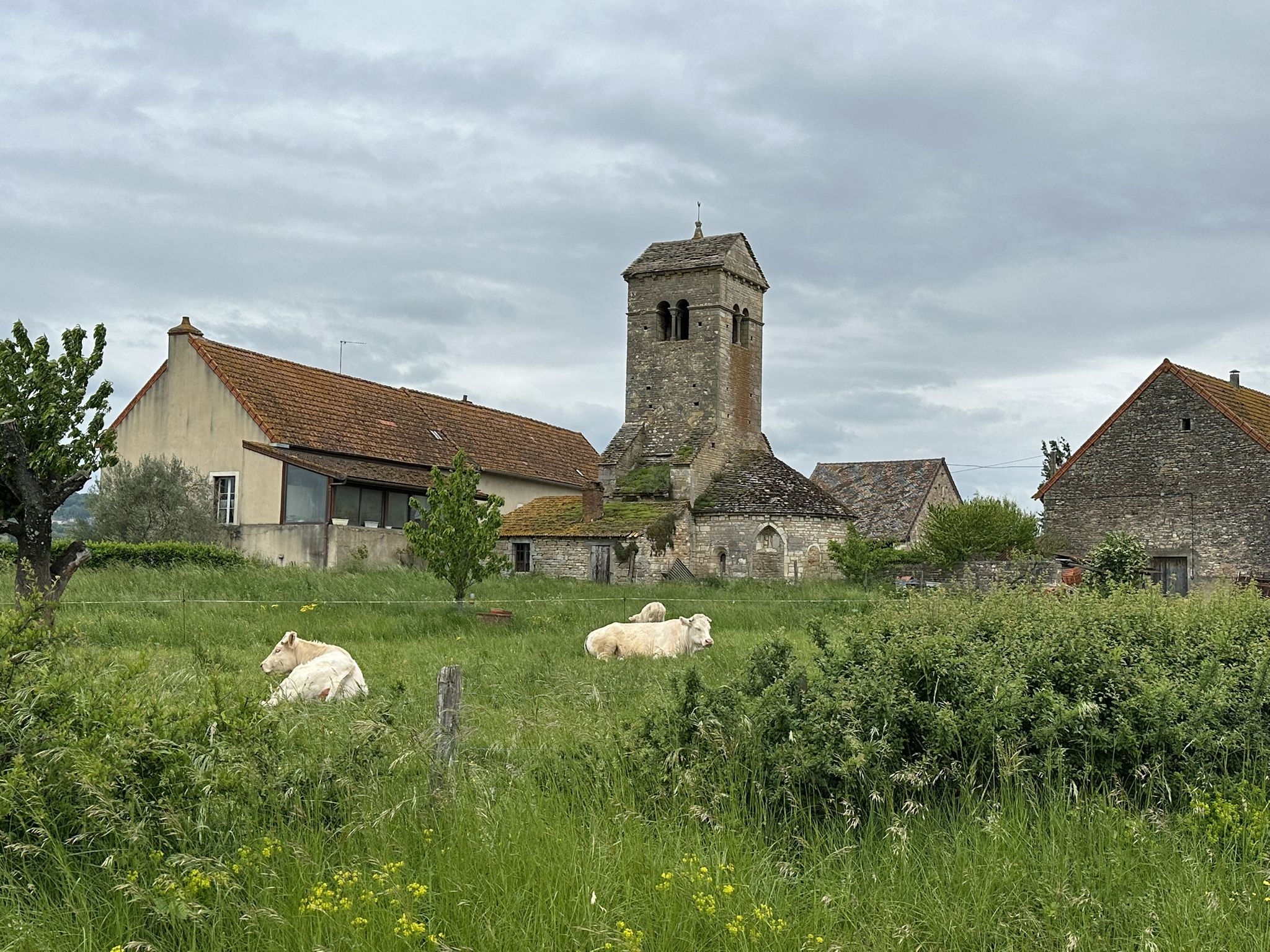Notre Dame de Pitié