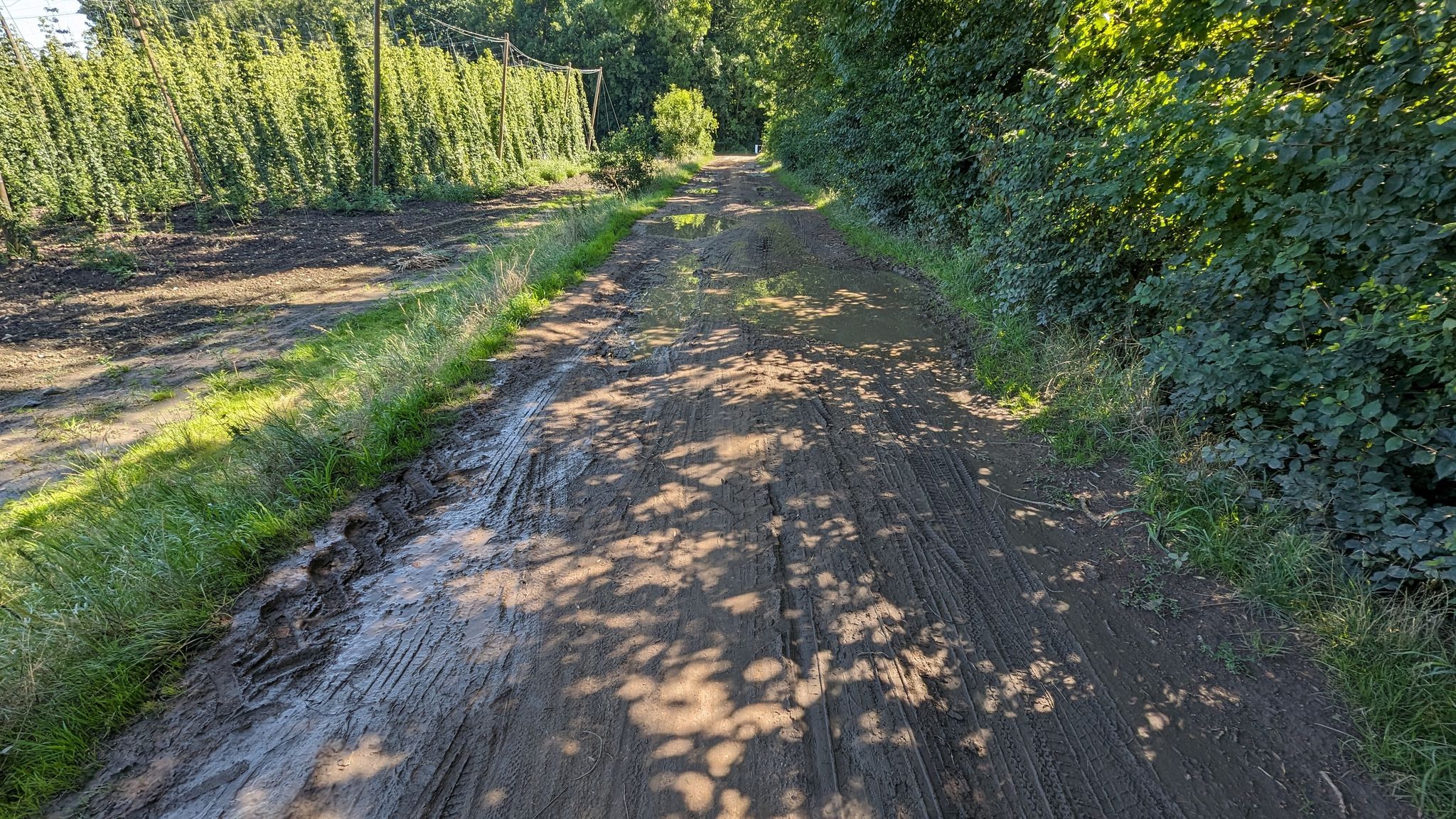 Viel Regen in den Tagen zuvor.