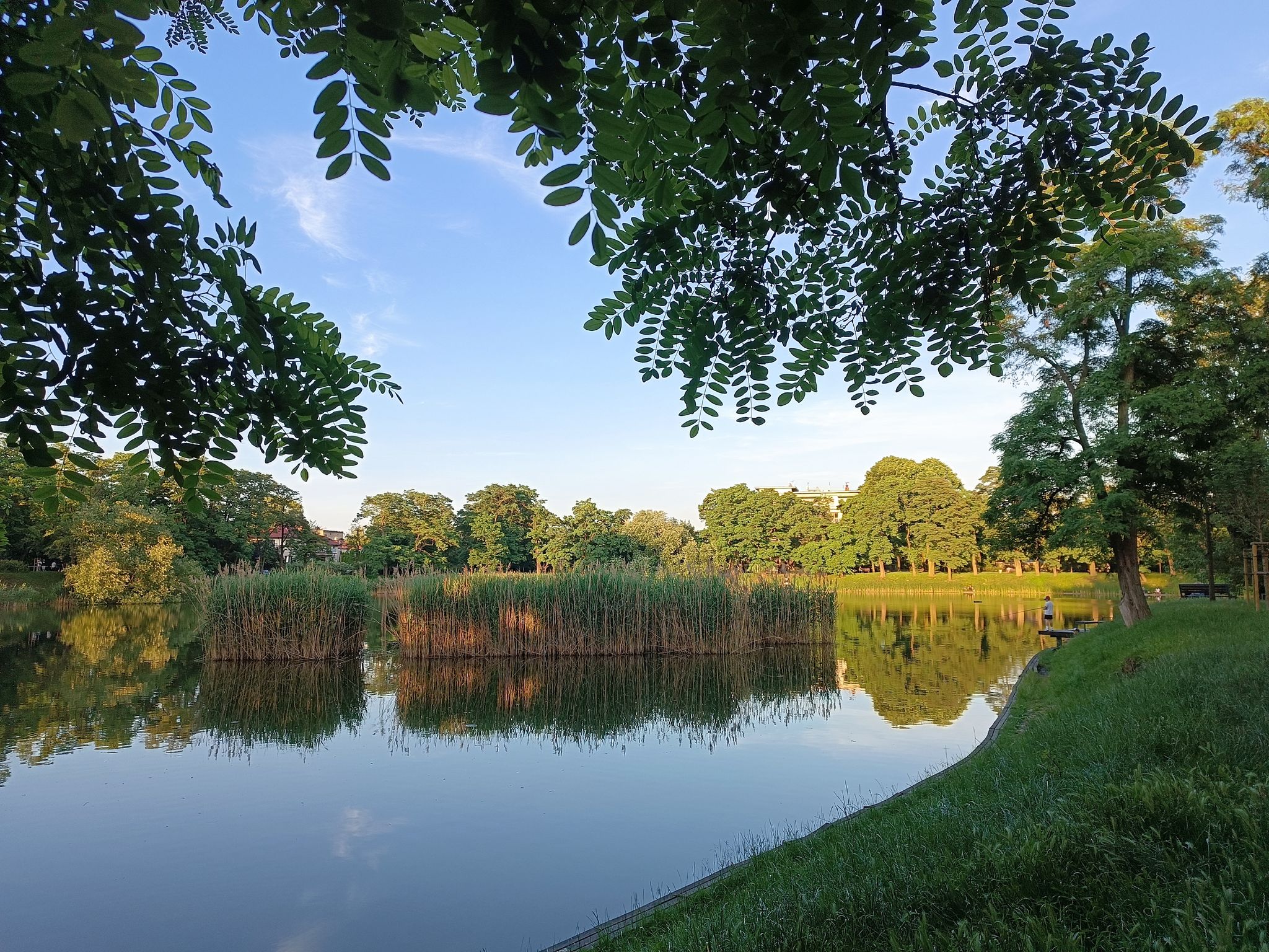 Park ze Stawami Cietrzewia prezentował się dziś wybornie