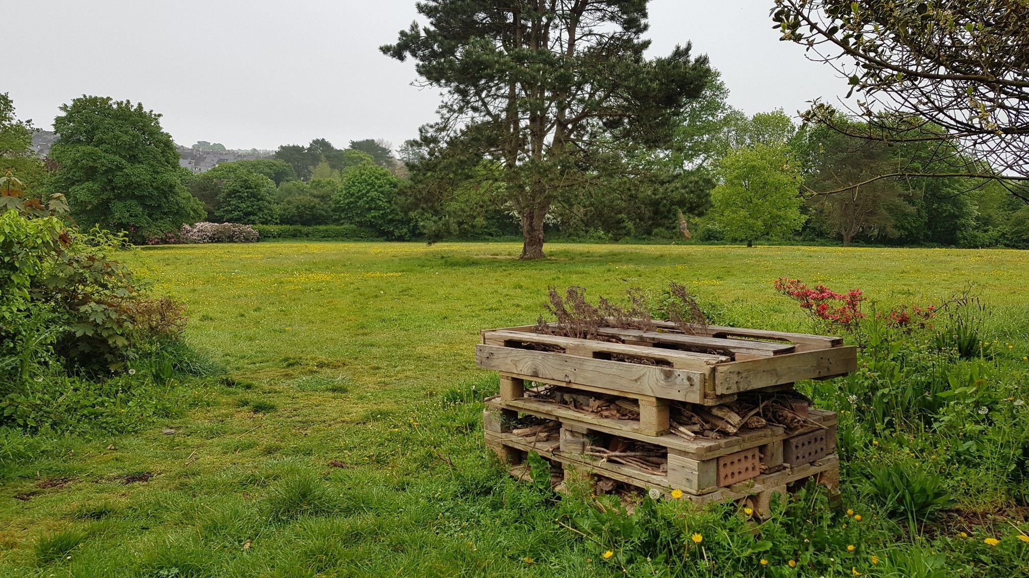 Bug Hotel