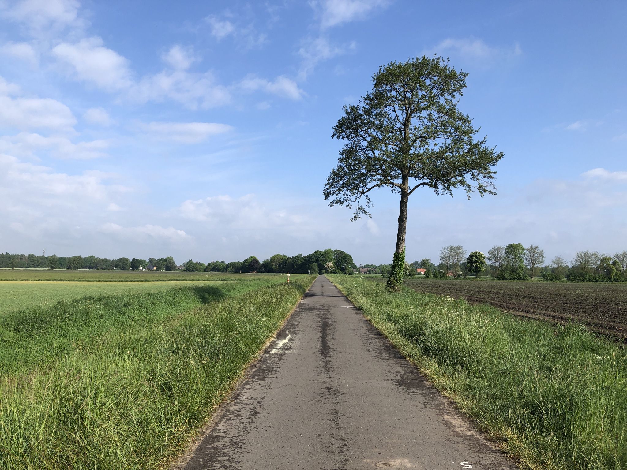 Fahrradweg zwischen Elze, Hellendorf, Mellendorf und Bissendorf