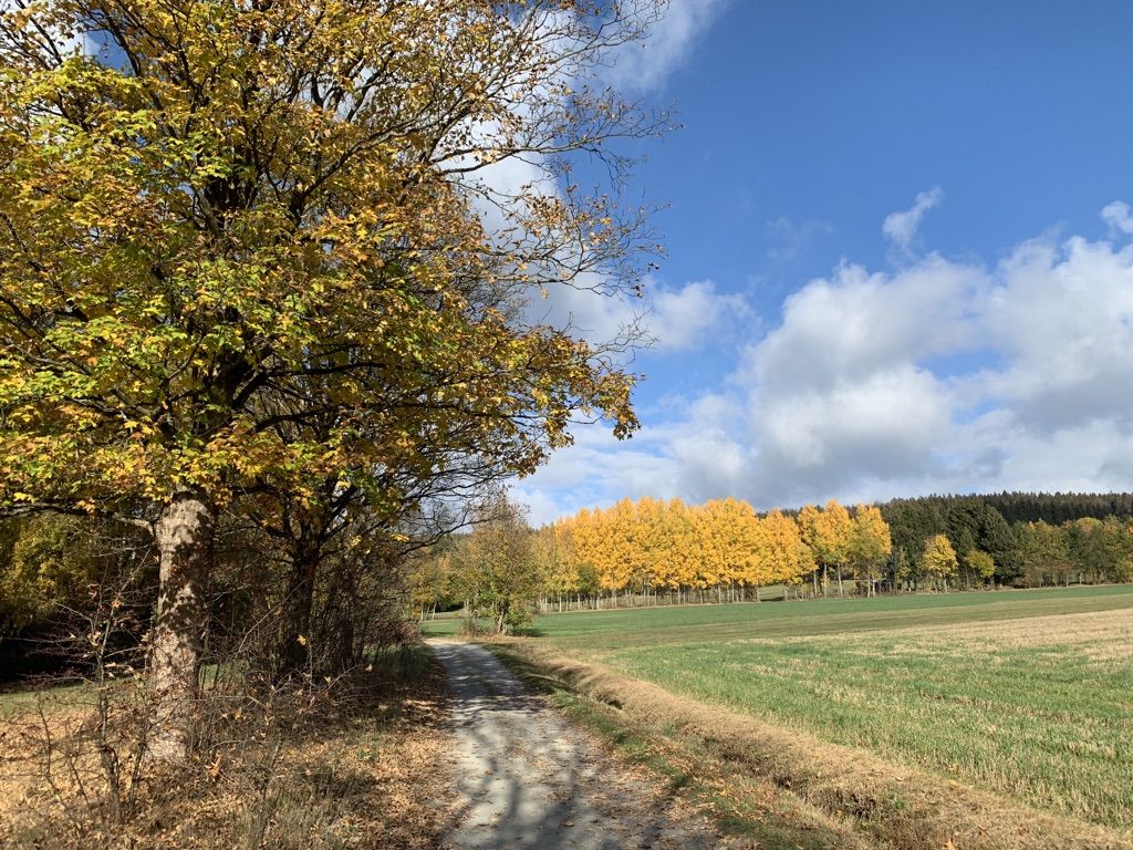 Aufstieg zum Waldstein
