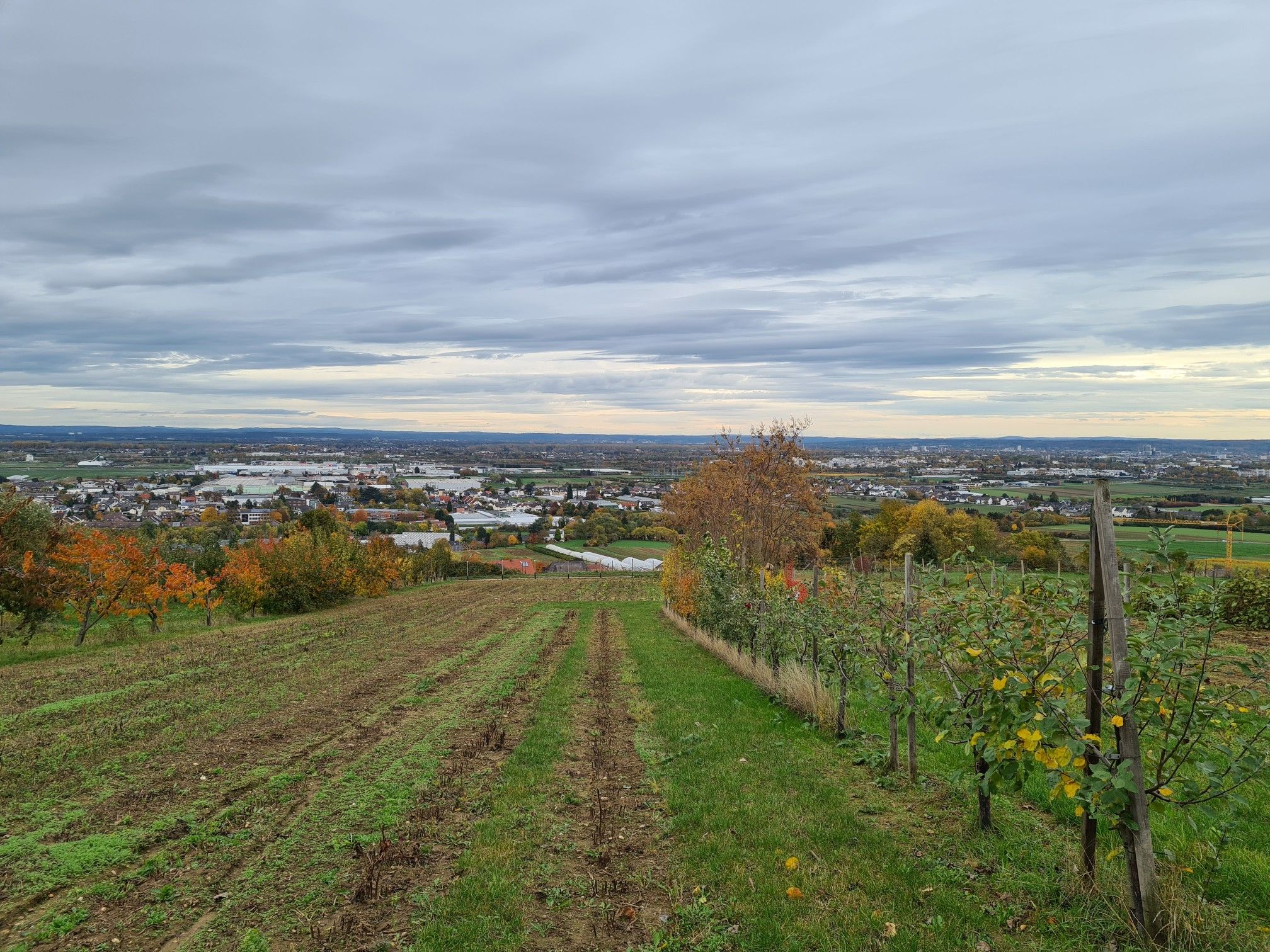 Blick vom schönen Vorgebirge 