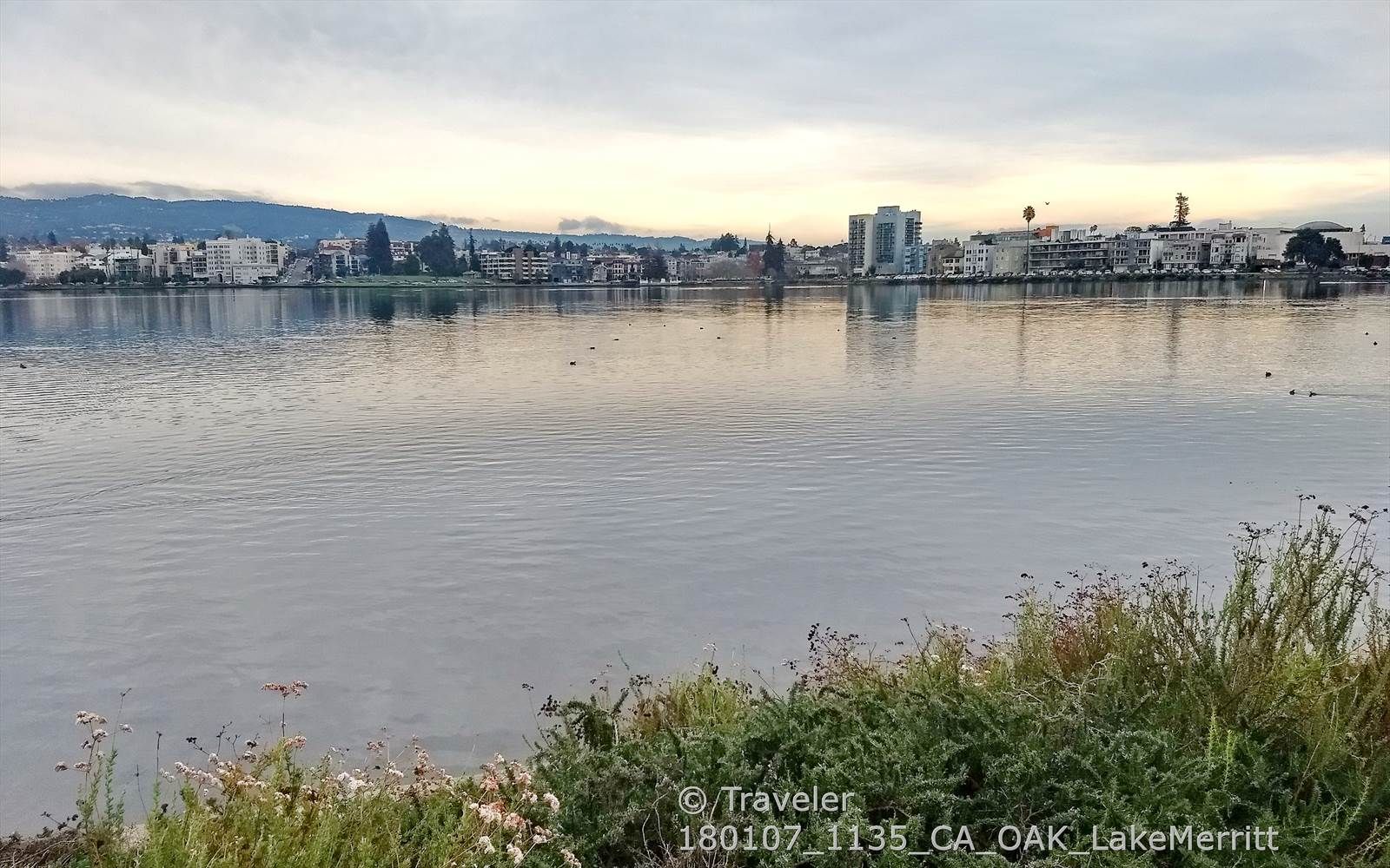 A wide body of water with a distant city skyline under an overcast sky. - Lakeshore Park loop around Lake Merritt
