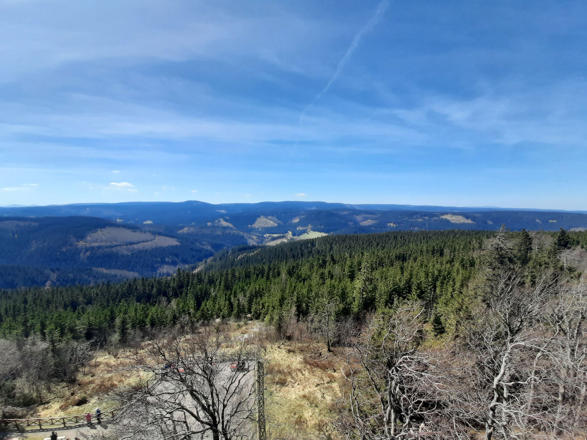 Thüringer Wald