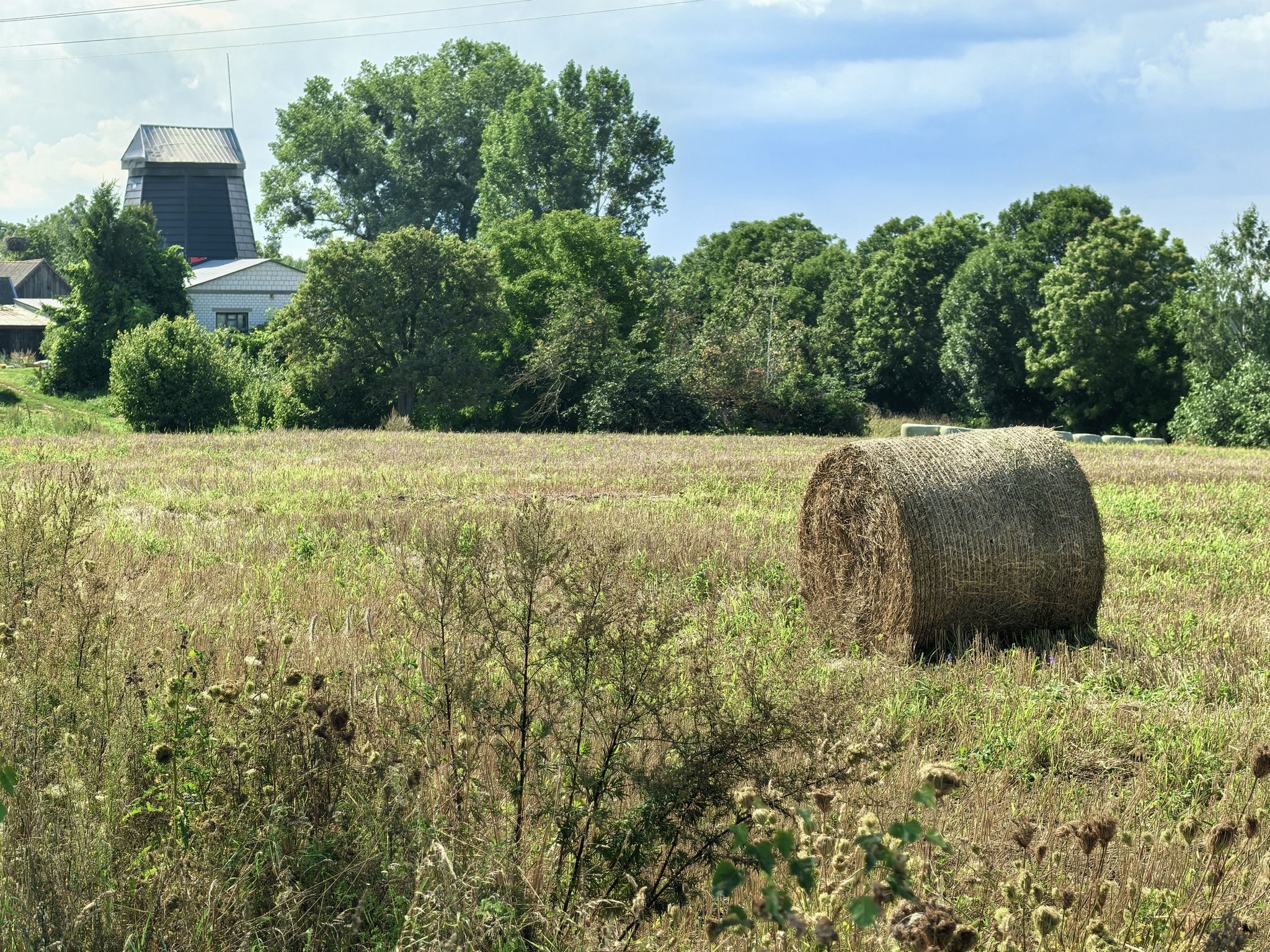 Drugi sfotografowany a trzeci wiatrak na trasie.