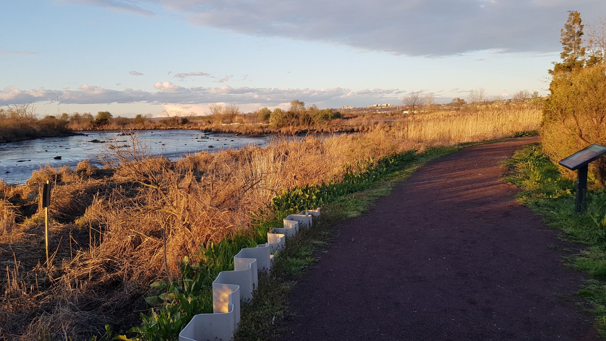 Dirt path alongside a marshy wetland under a warm, cloudy sky. - Mill Creek Marsh Trail