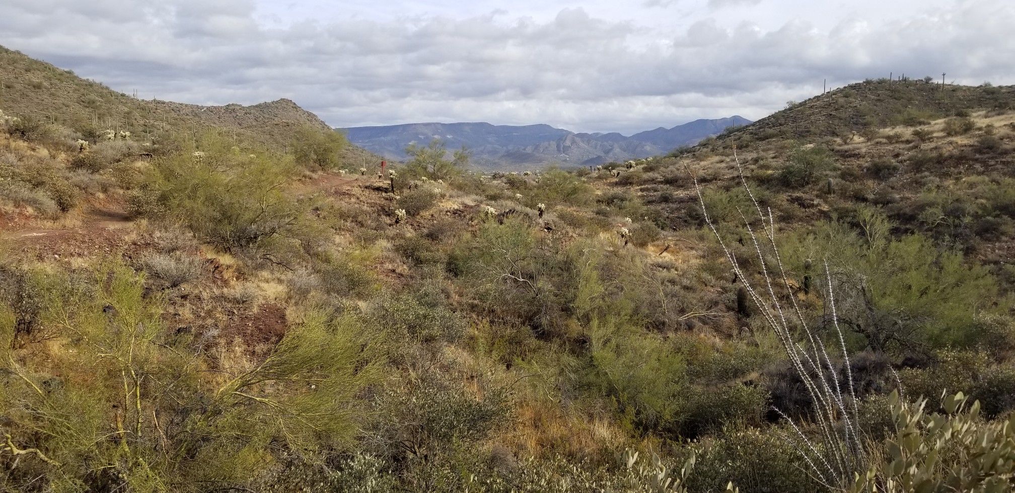 Cloudy desert landscape with brush-covered hills and distant mountains under an overcast sky. - Go John, Quartz, and Slate Trail Loop