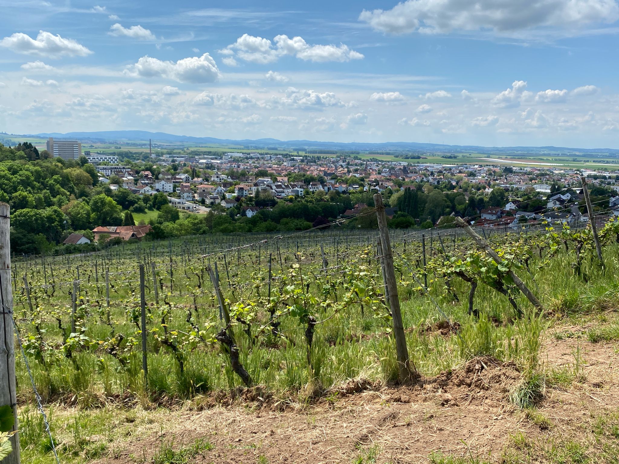 Groß – Umstadt von oben aus den Weinbergen