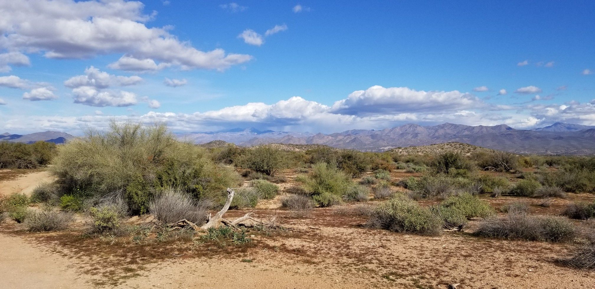 Expansive desert landscape with brush, mountains, and a partly cloudy sky. - Pemberton Trail (East Side) loop from Asher Hills