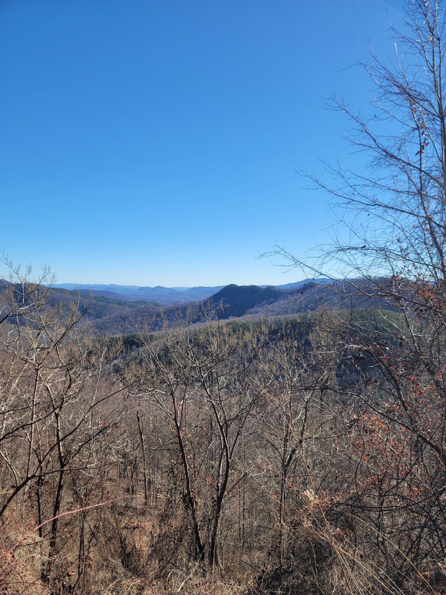 Expansive mountain vista under a clear blue sky, with bare trees. - Parris Creek Trail