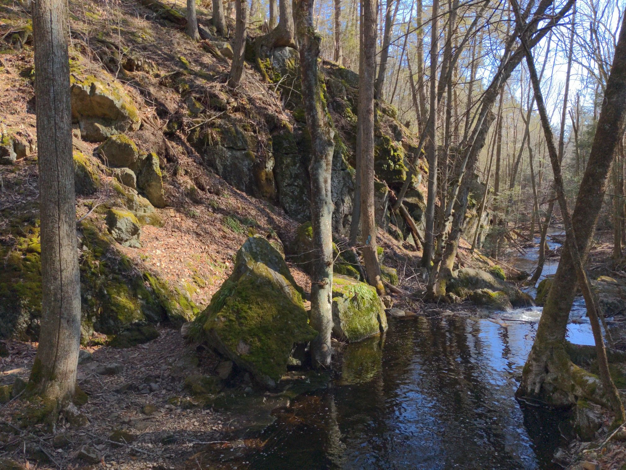 A sunlit stream flows through a rocky, moss-covered forest with bare trees. - Green Fall Pond loop from Yawgoog Scout Reservation