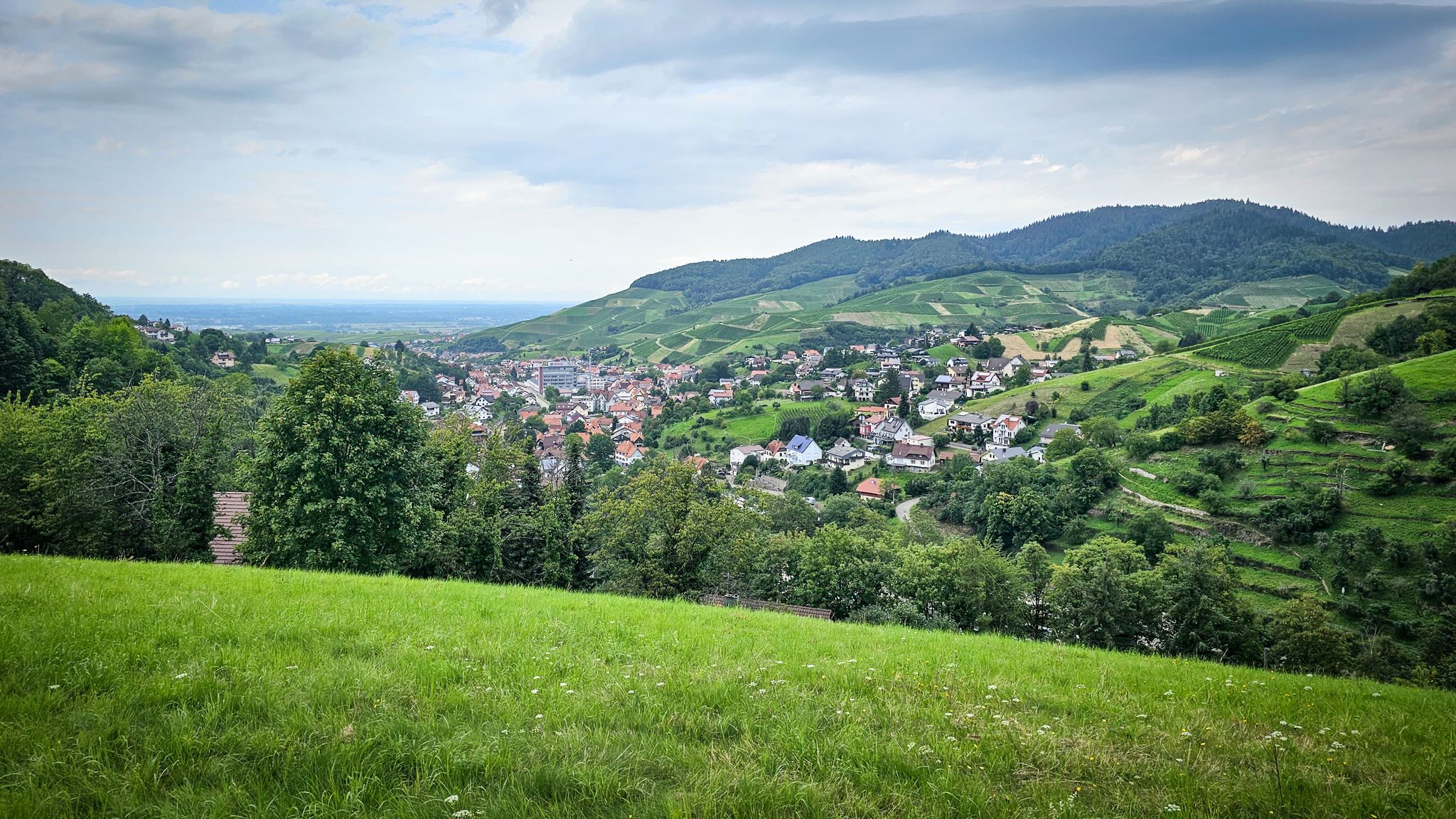 Bühlertal - Talausgang