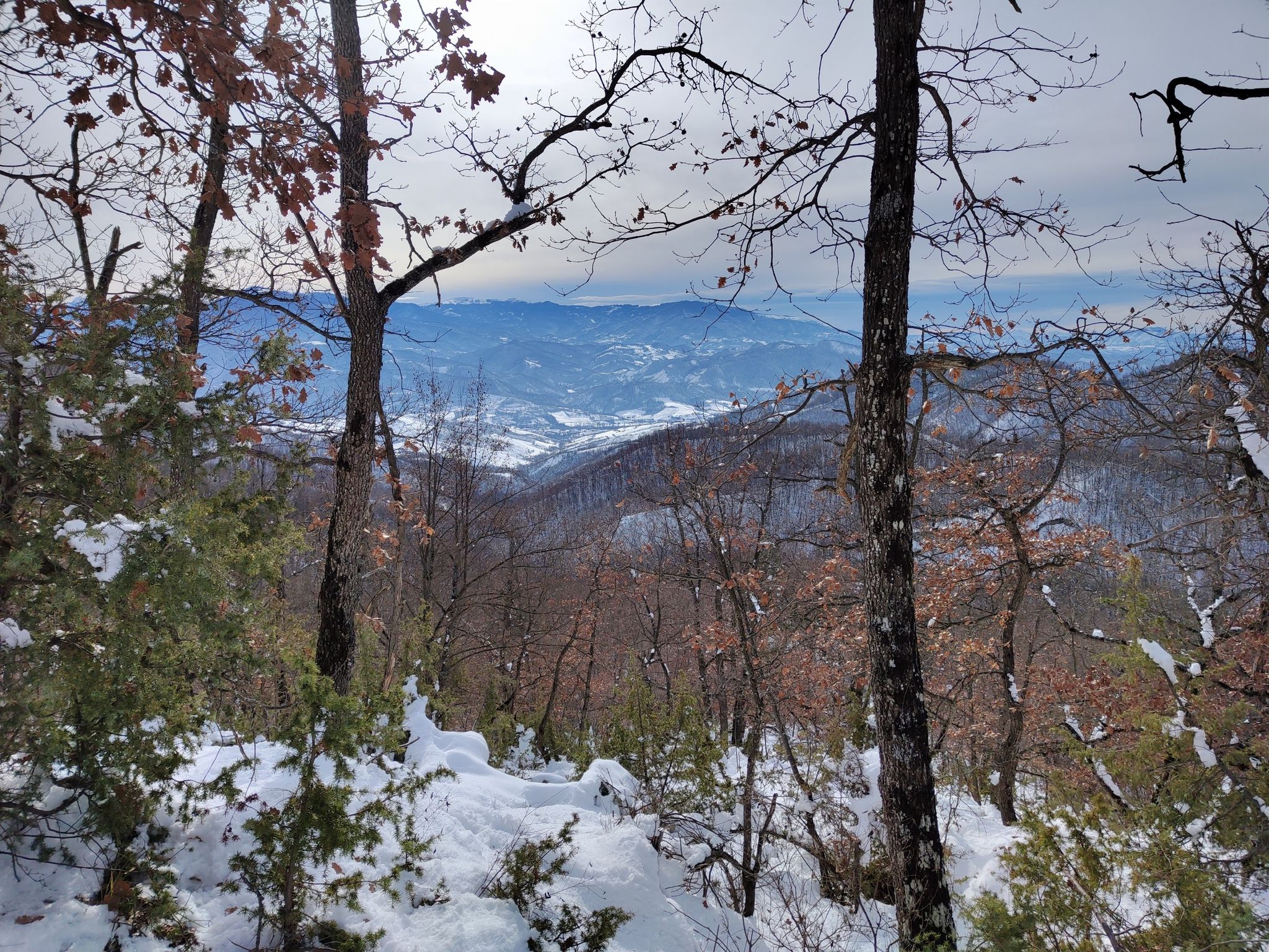 Panorama