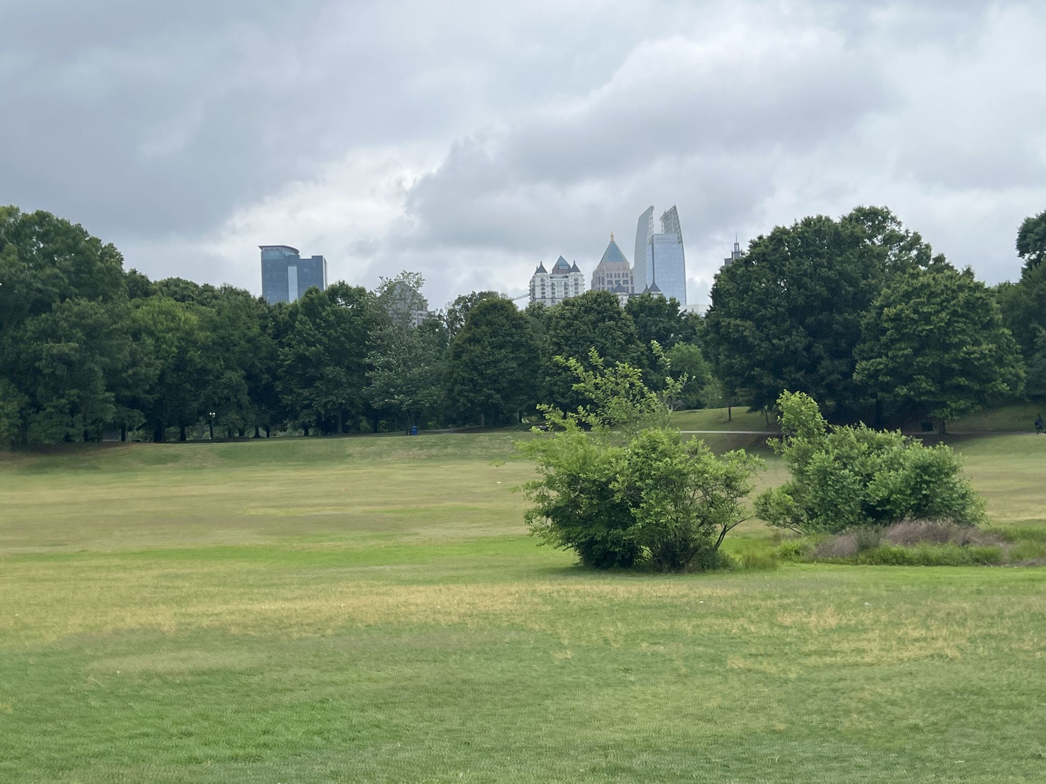 Grassy field with bushes and trees, a distant city skyline under gray clouds. - Freedom Park Pathway – Piedmont Park loop from Decatur