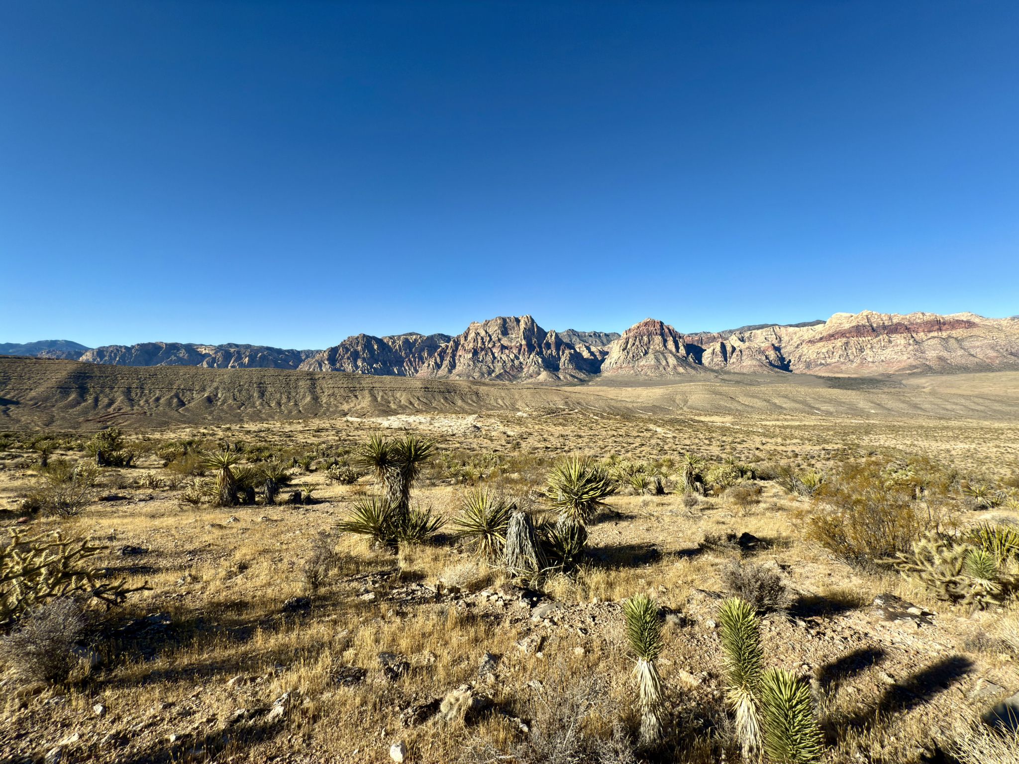 Wide desert landscape with sparse vegetation and a majestic mountain range. - Cowboy Trails Parking Lot – View of Red Rock Canyon loop from Red Rock Canyon Visitor Center