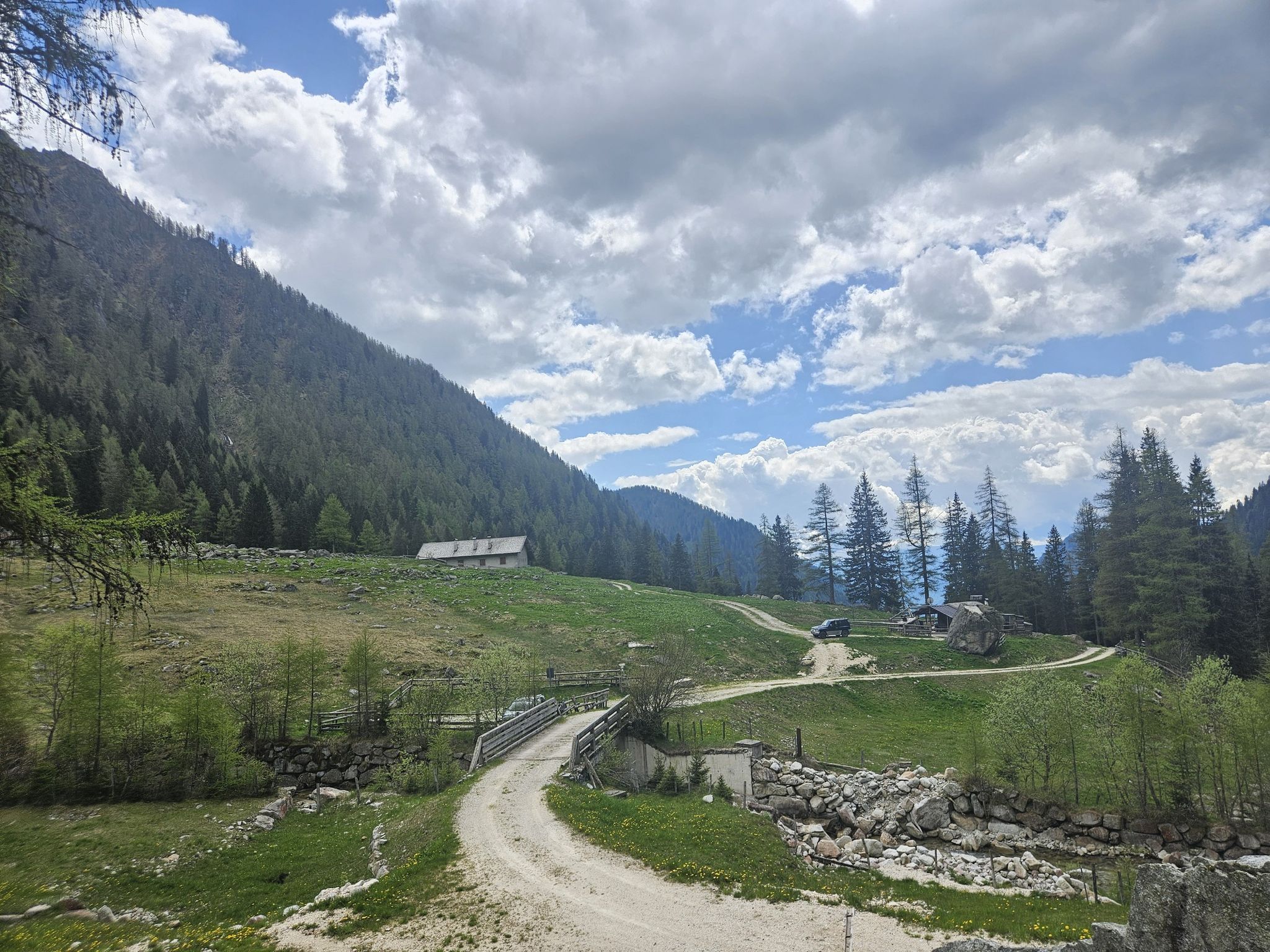 Malga Tolva'