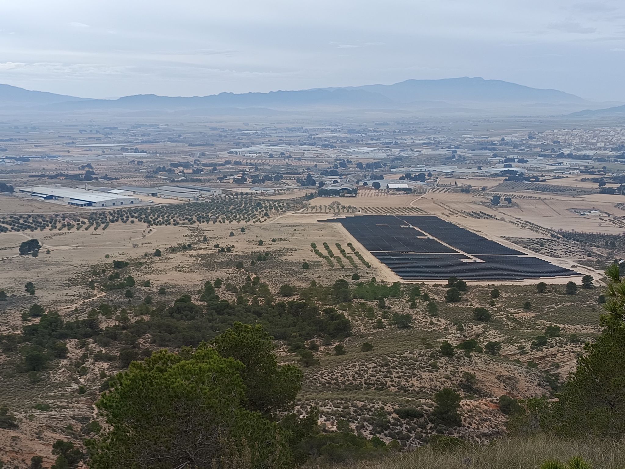 Blick vom höchsten Punkt auf das Solarfeld bei Yecla