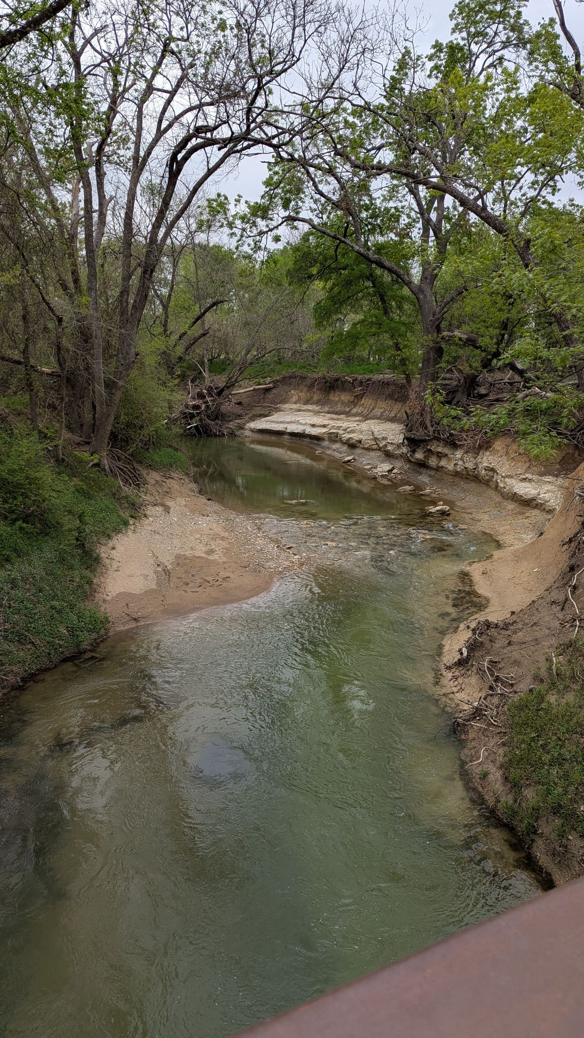 A clear stream flows over sandy and rocky banks through a forest. - Bob Woodruff Park Pond – Rowlett Creek Trails loop from Shiloh Road
