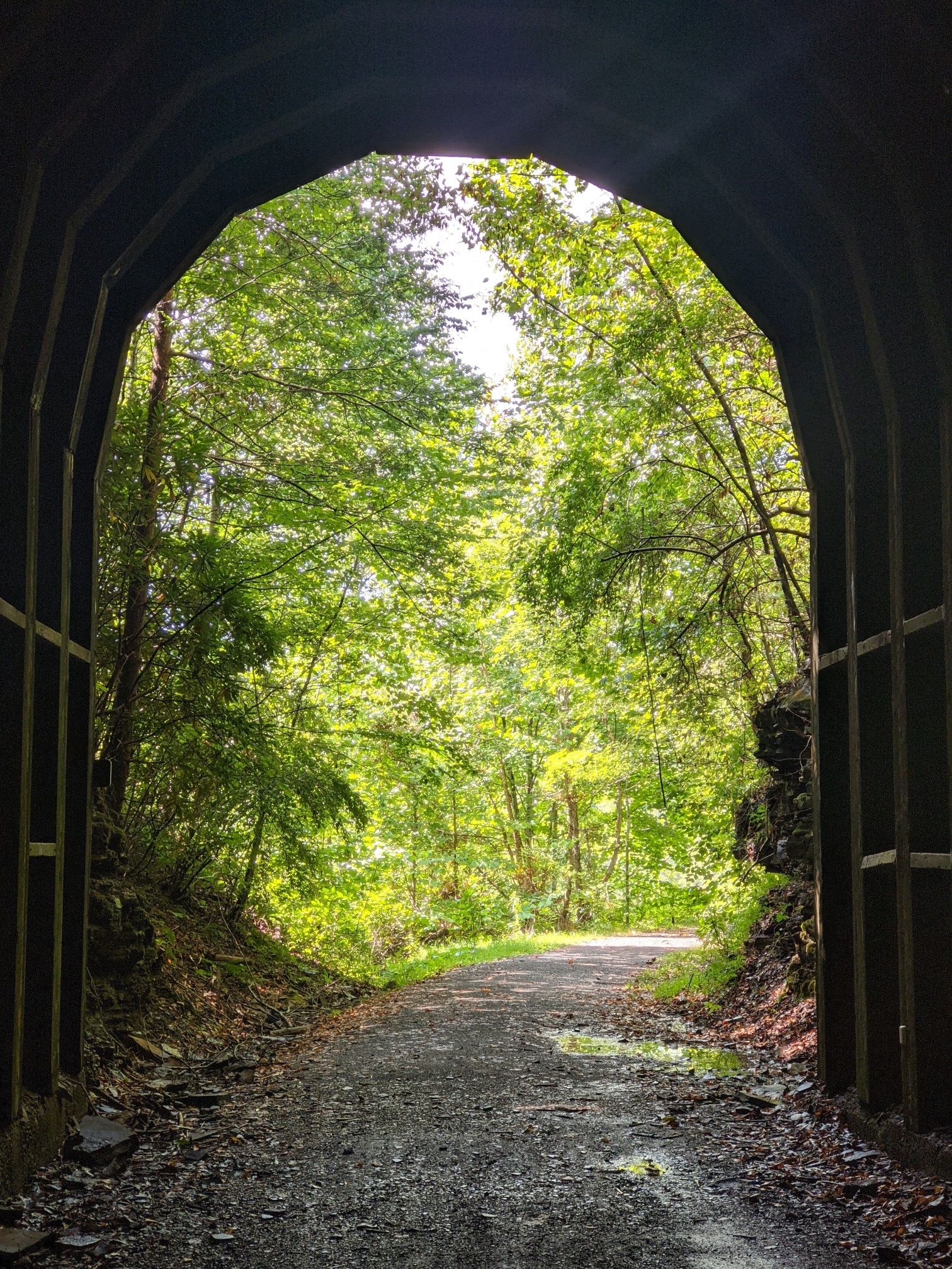 View from inside a dark tunnel looking out to a bright forest path. - Seebert – Mill Run Campground loop from Seebert