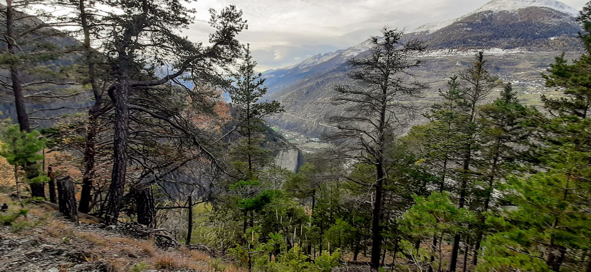 Blick auf Brigerbad
