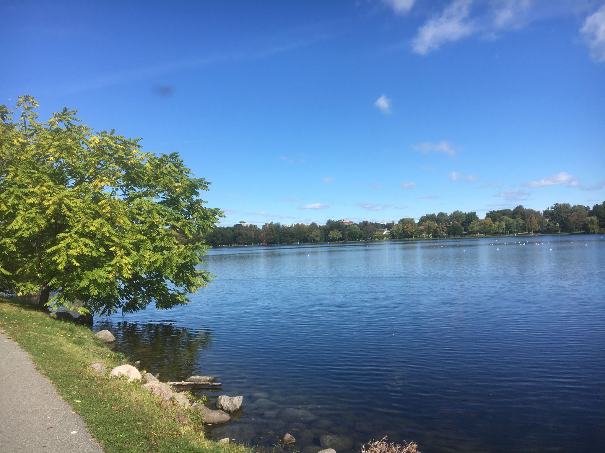 Lake down