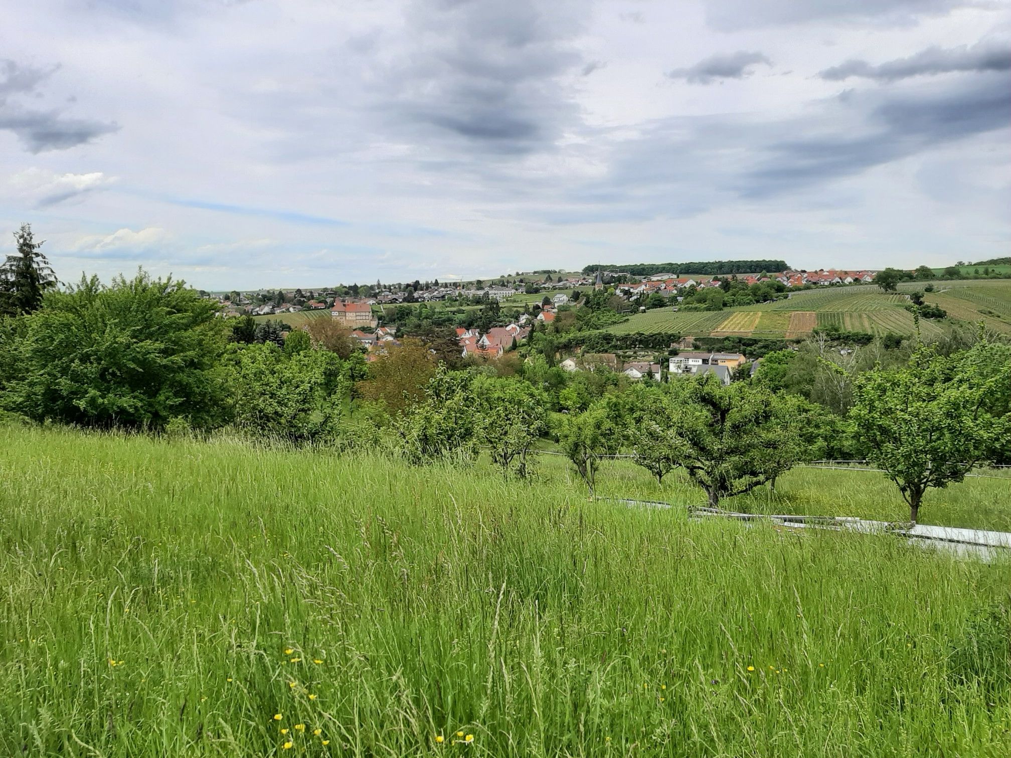 Blick nach Talheim