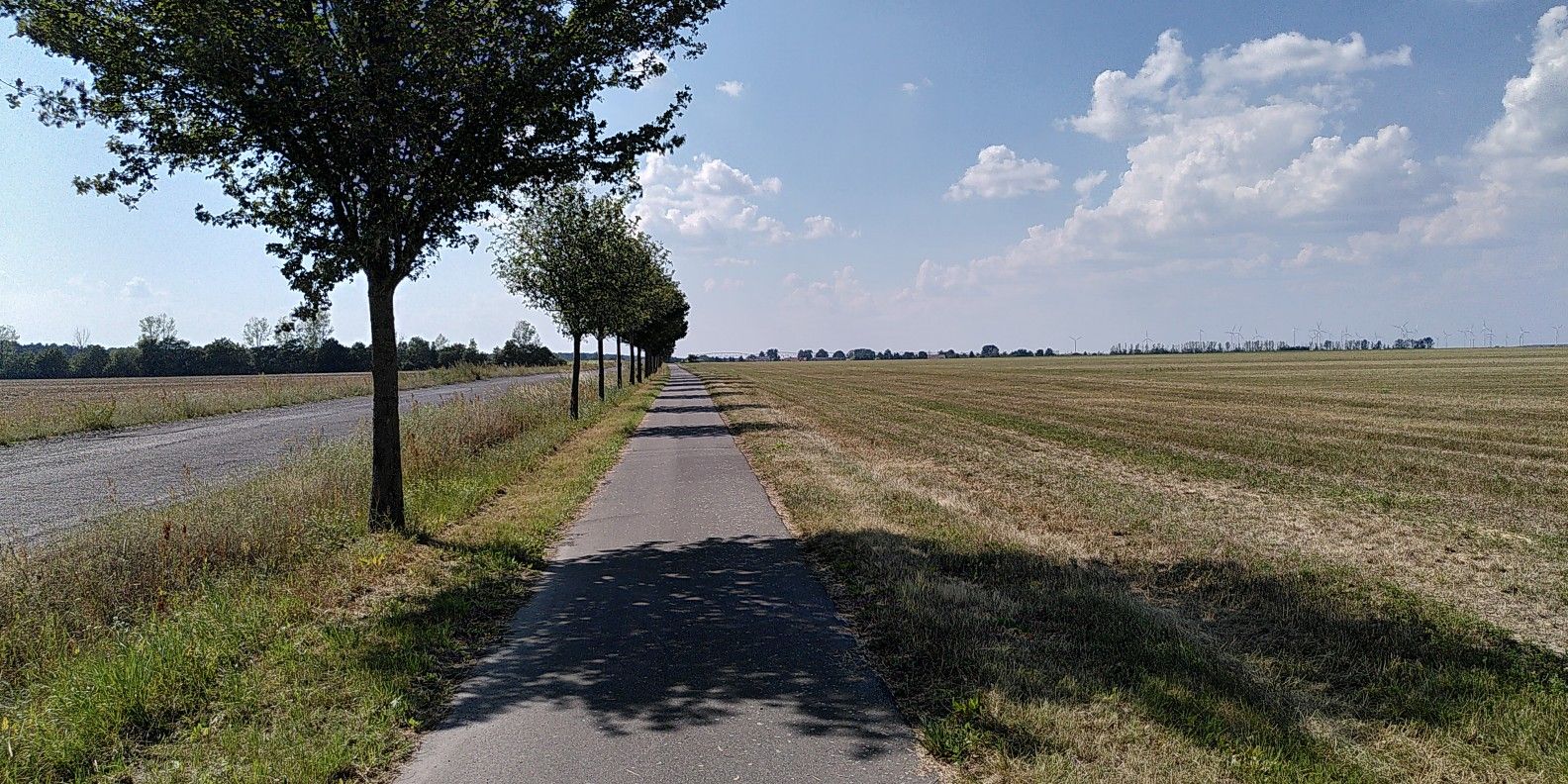zwischen Dahme und Niendorf