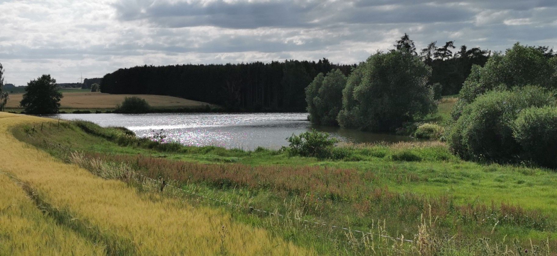 Wenzelsstau Anglertreff