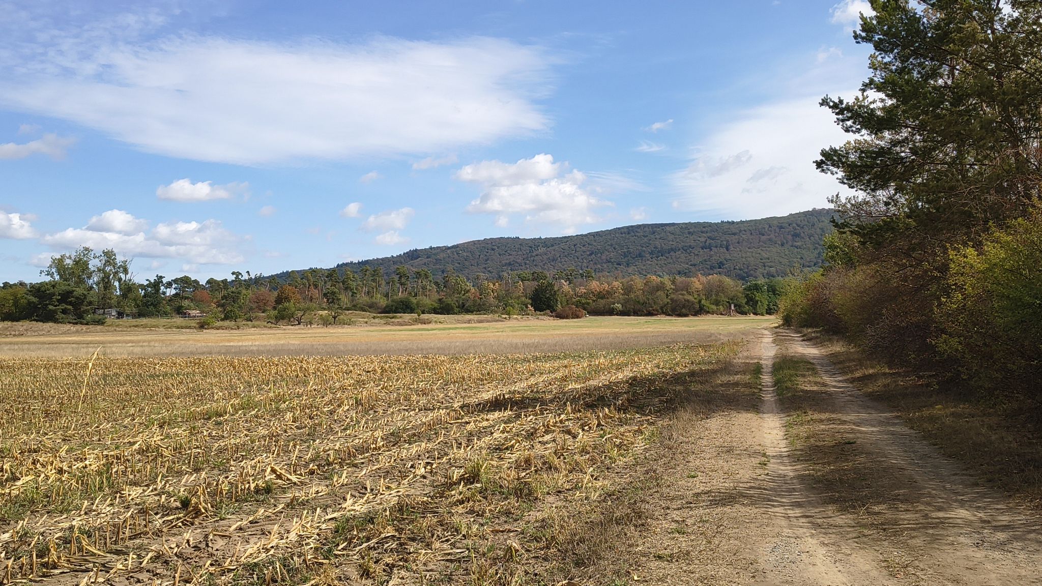 schön ist es an der Bergstraße 