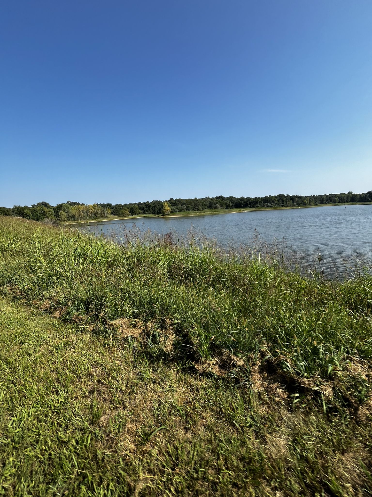 Calm lake with lush green grass in the foreground under a clear sky. - Lake St. Louis – Mononame 207 Reservoir loop from Weldon Spring Heights