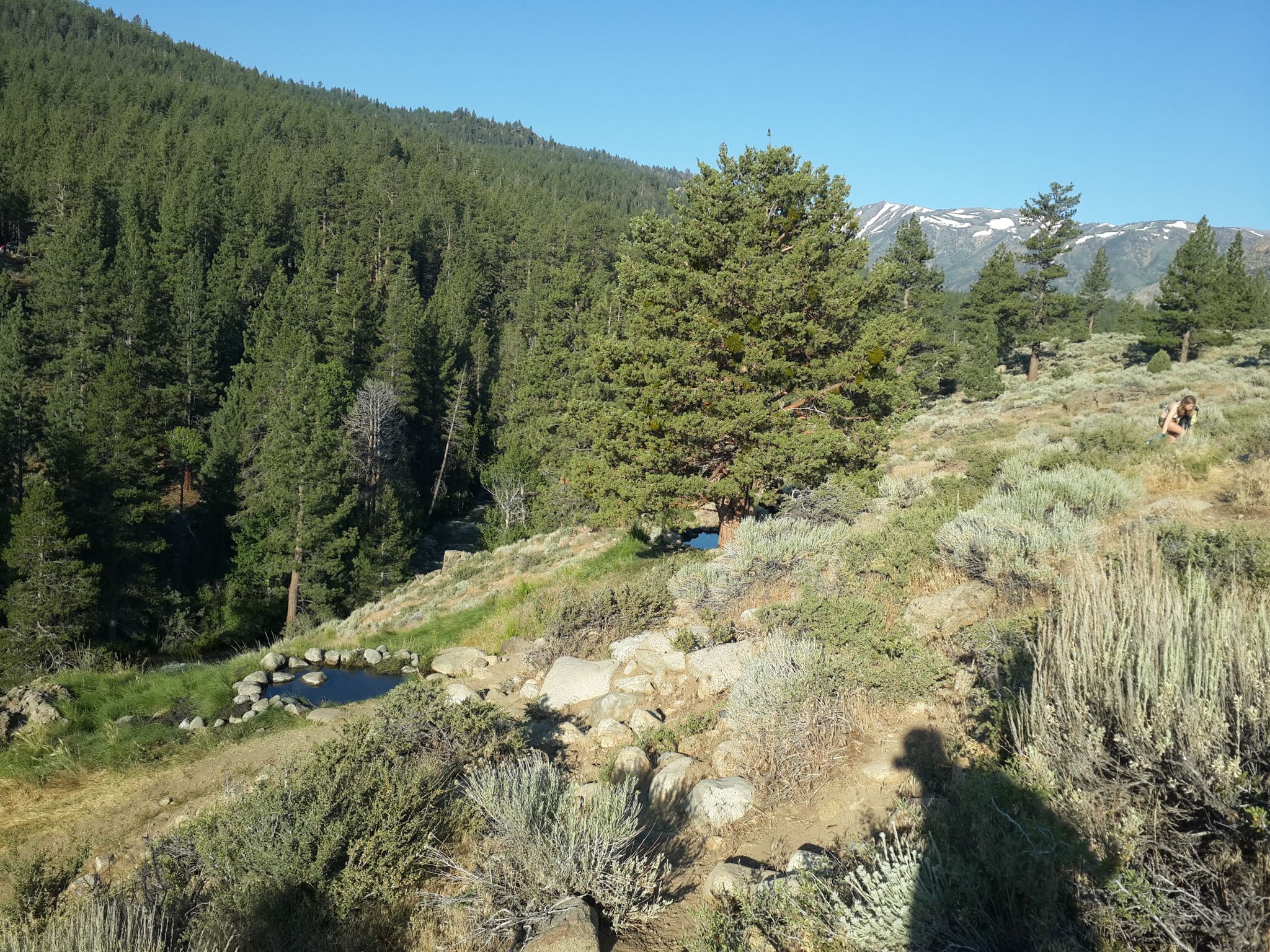 Small pool on a sunny forested hillside with distant snowy mountains. - Bridgeport, California to Buckeye Hot Springs