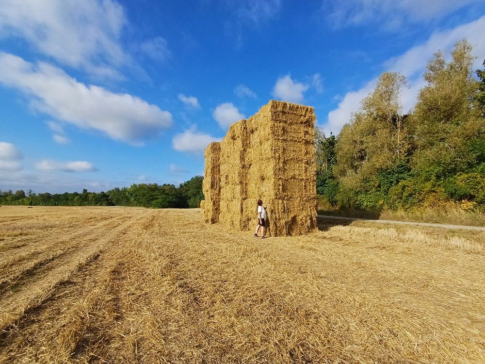 Da hoch komme ich auf keinen Fall.