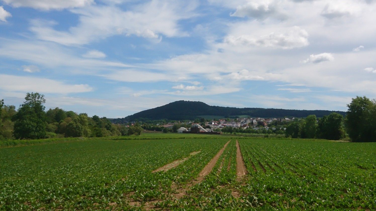 Heiligenberg