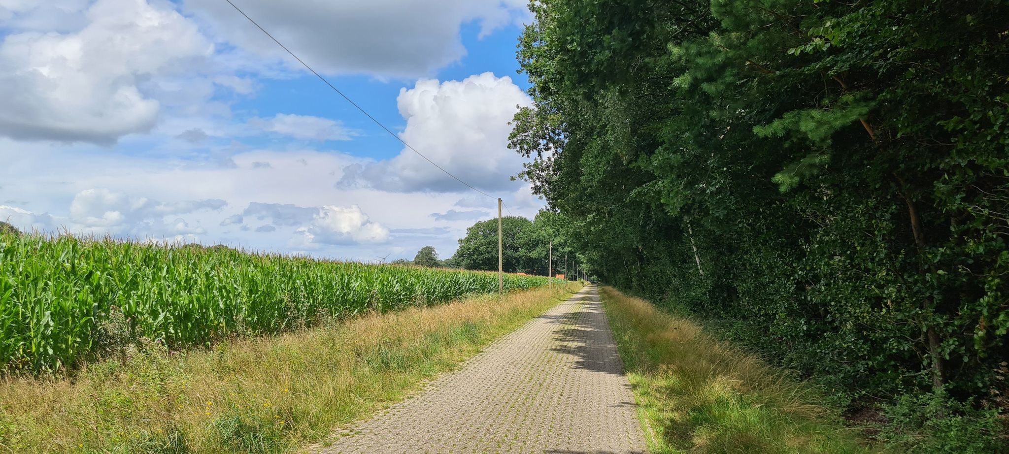 Pflasterstraße
