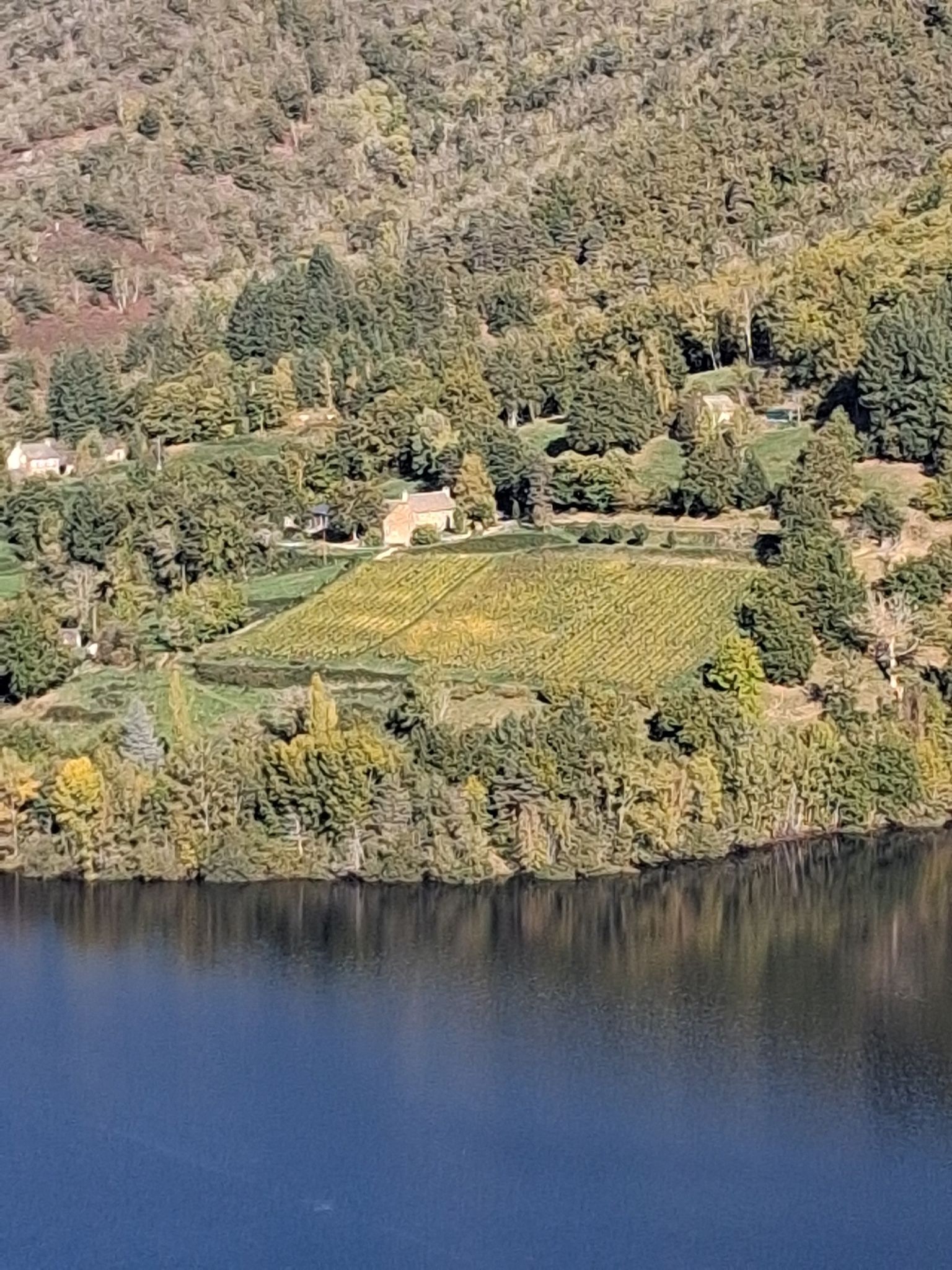 Les vignes d'Izagues