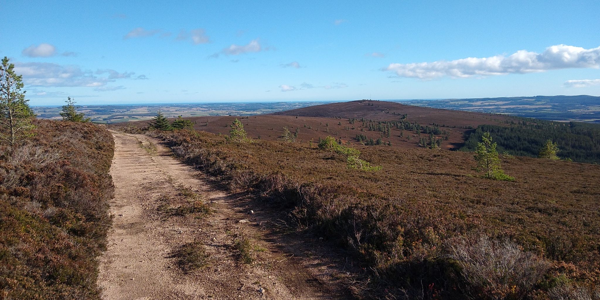 View to Meikle Tab.