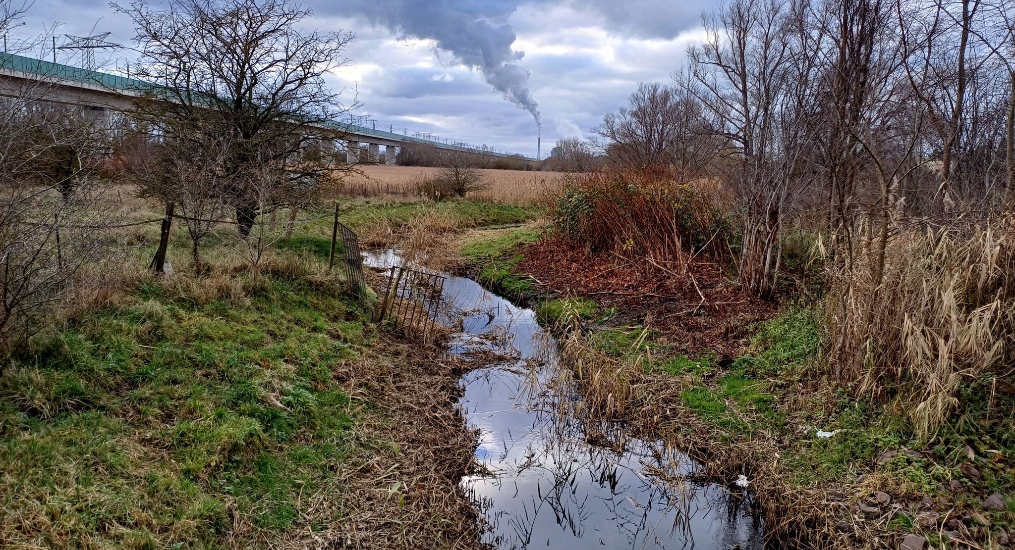 ICE-Brücke + BUNA + Aue + Reide in Osendorf