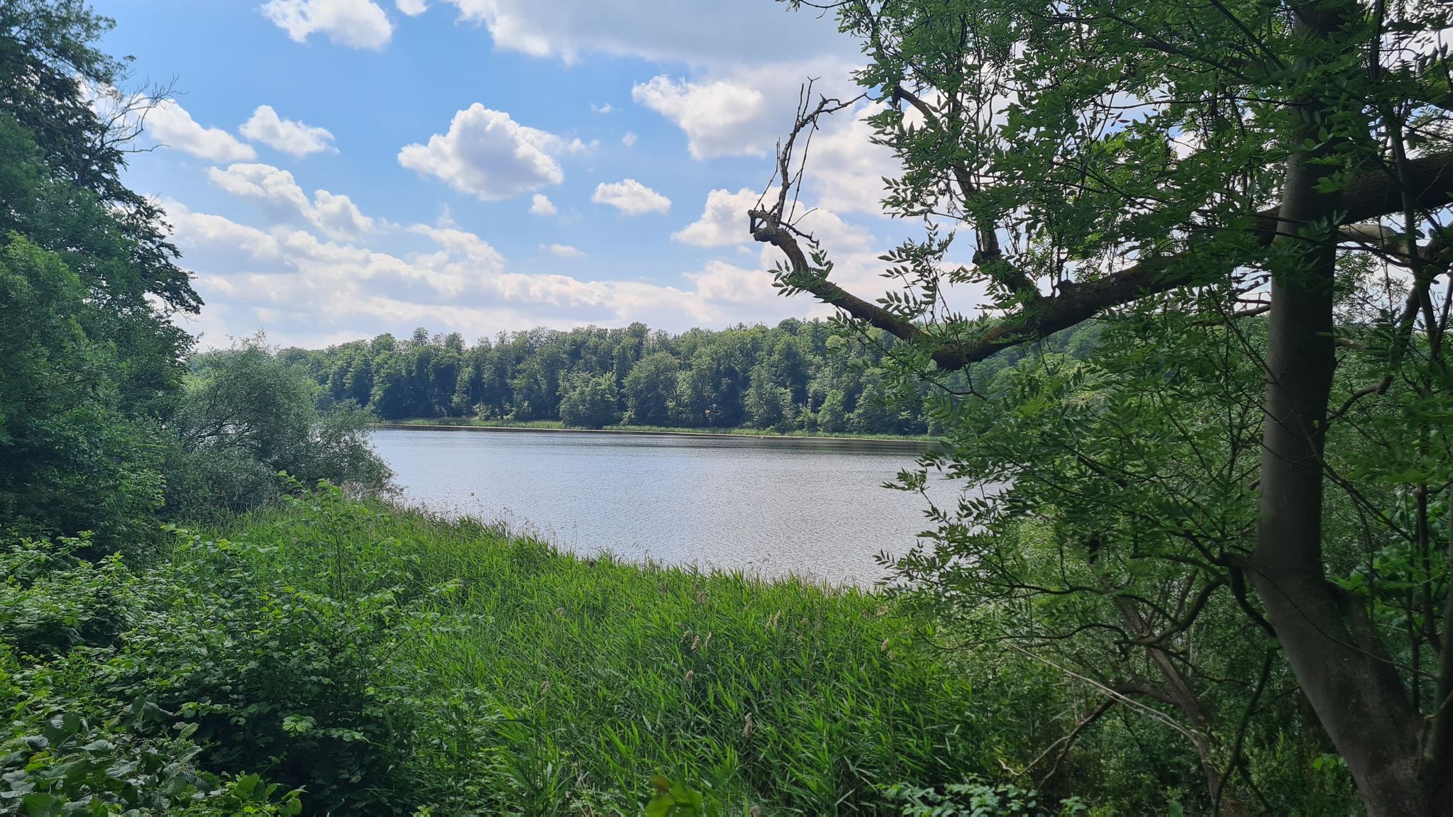 Wendelstorfer See