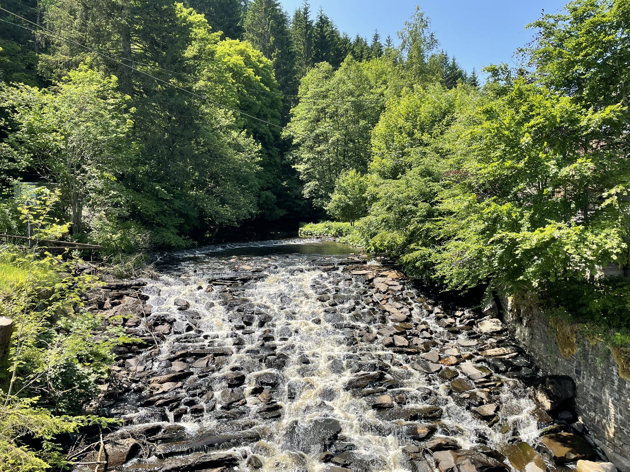 Dreistegen