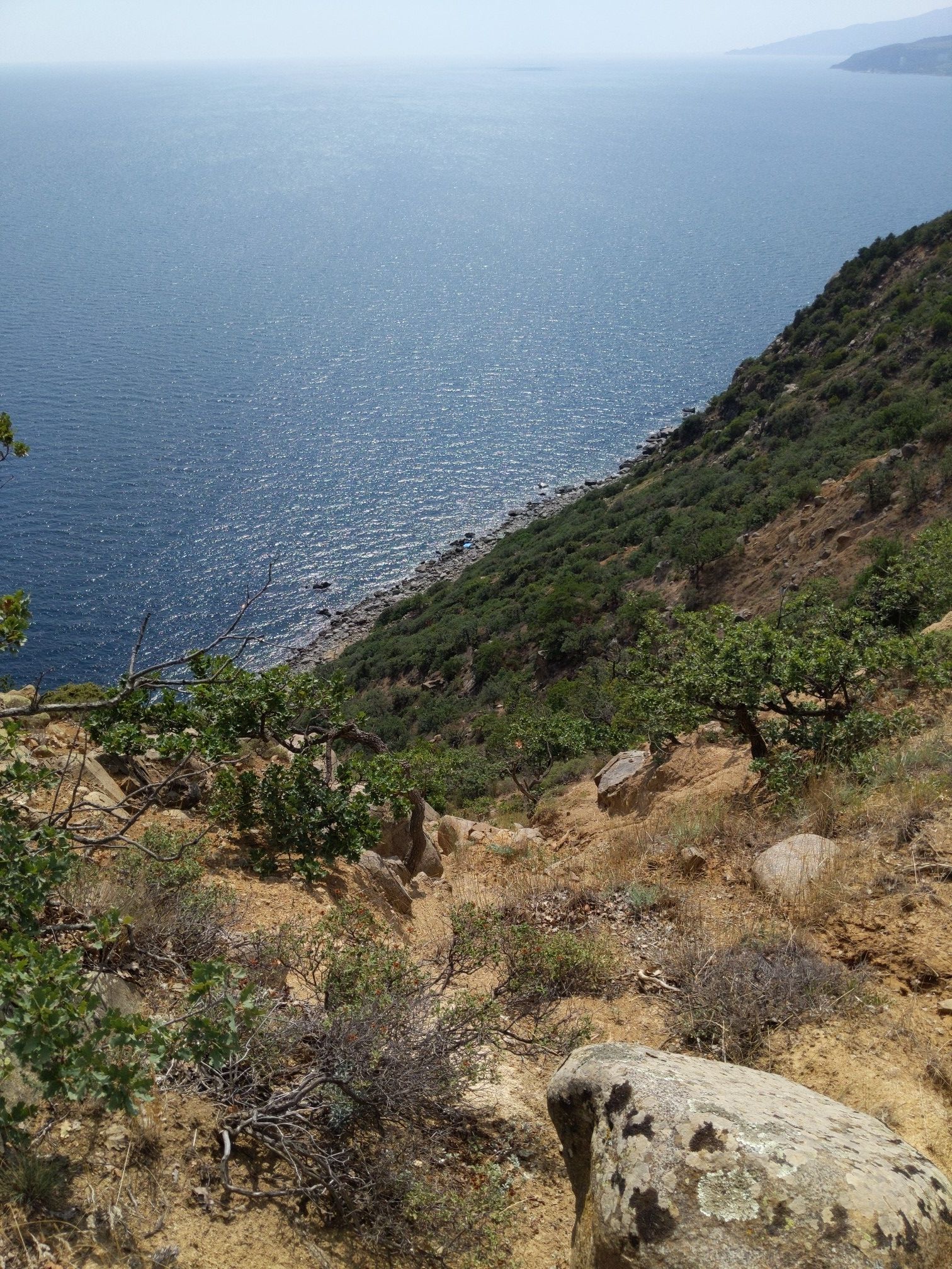 View of the wild beach