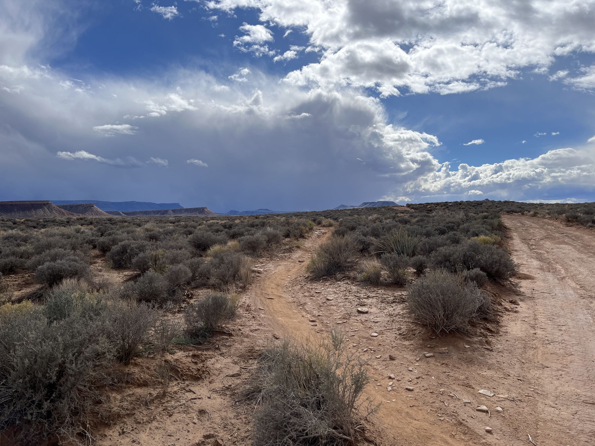 Dirt path through arid scrubland under dramatic cloudy sky. - JEM, Dead Ringer, and Goosebumps Loop