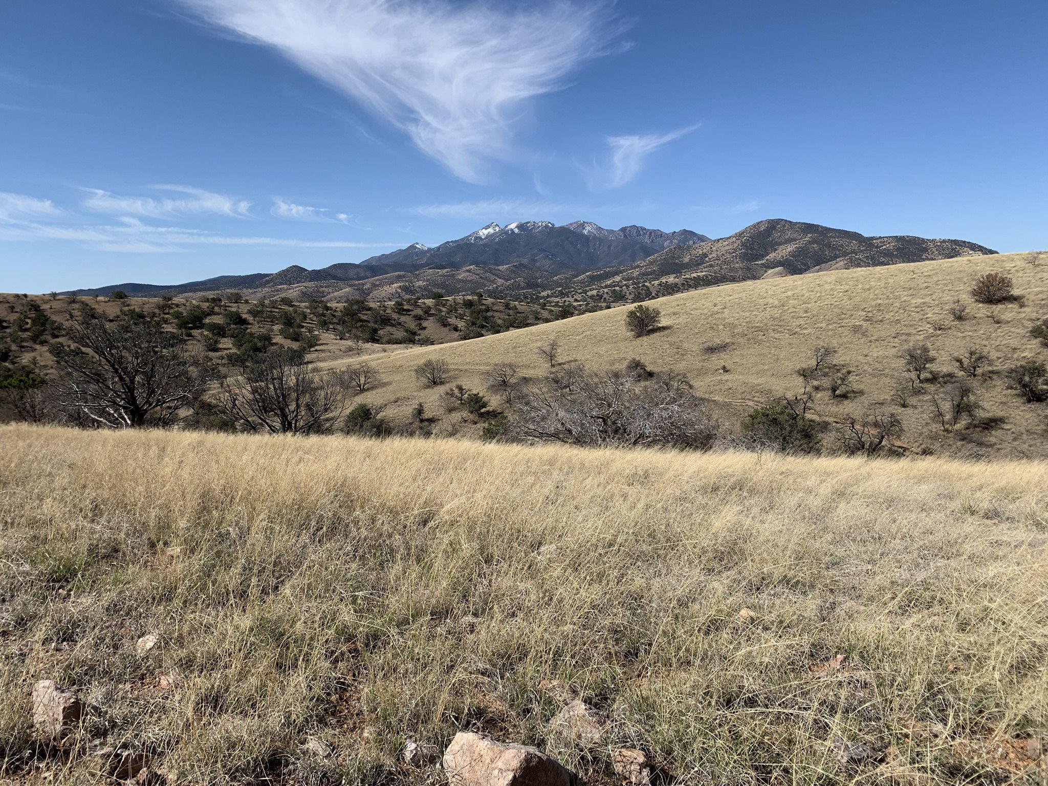 Rolling grassy hills lead to distant snow-capped mountains under a blue sky. - Arizona Trail: Passage 5 - Santa Rita Mountains