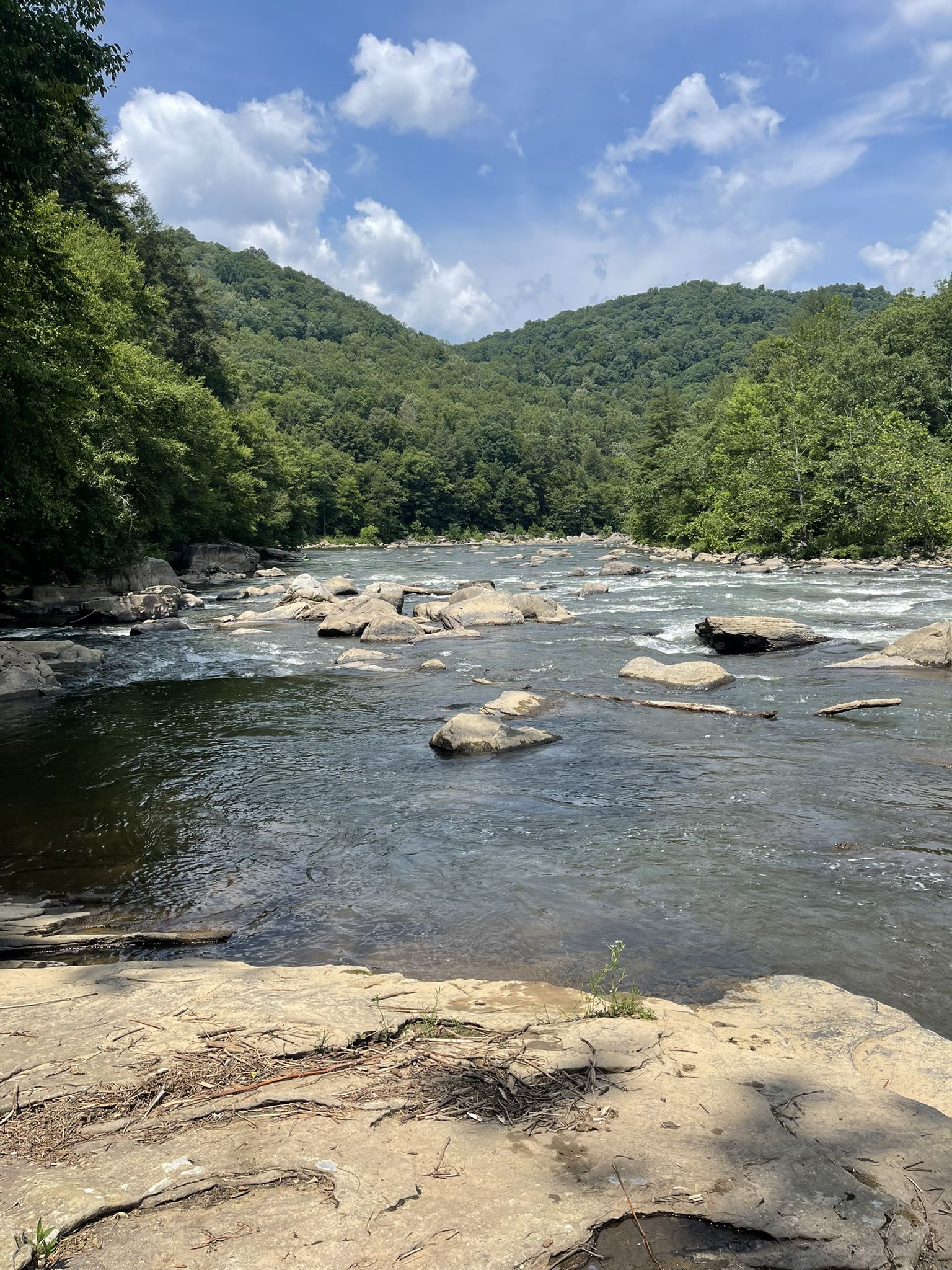 A wide river with rapids and rocks, surrounded by green forested hills. - Great Gorge and Ferncliff Trail Loop