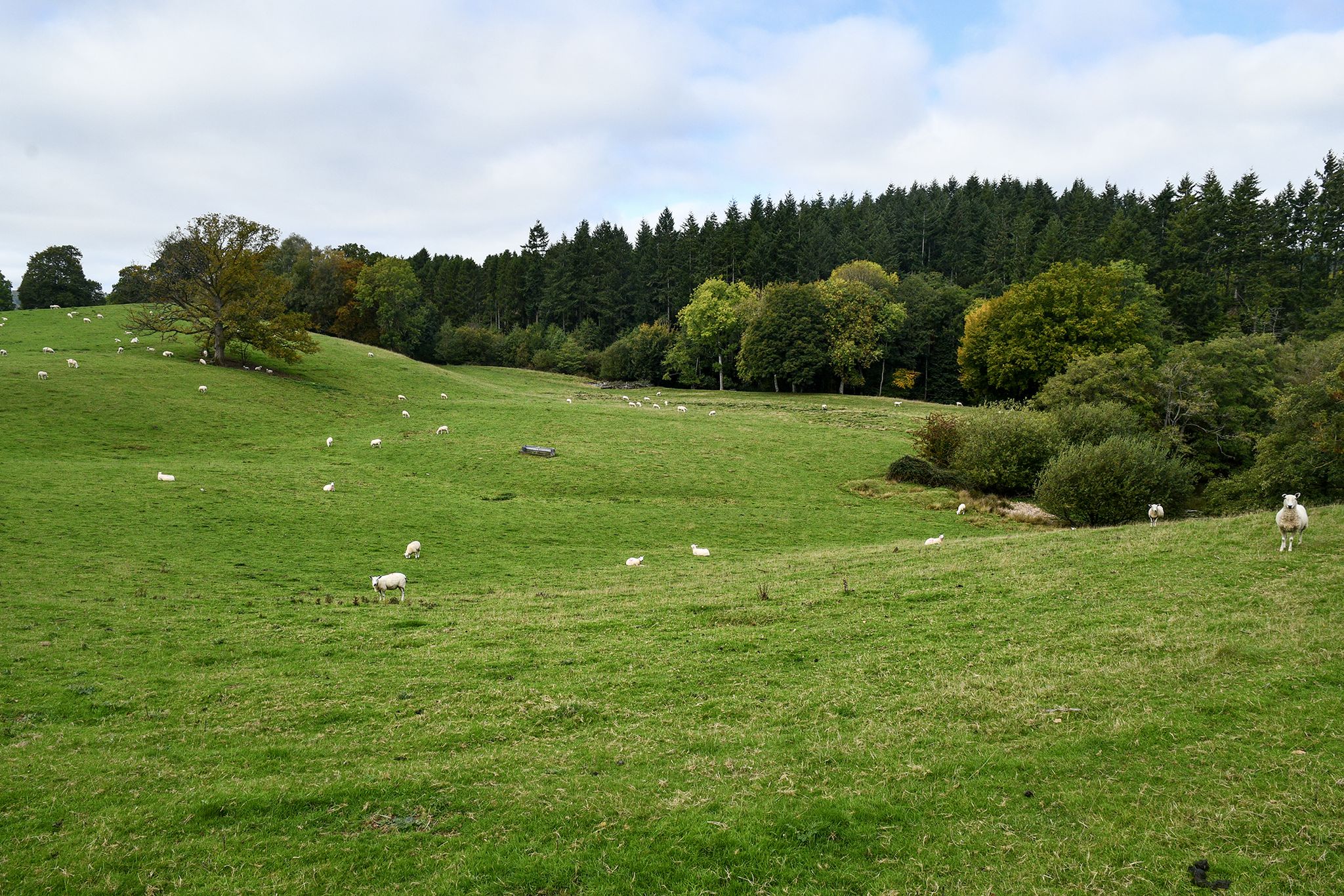 Rolling countryside