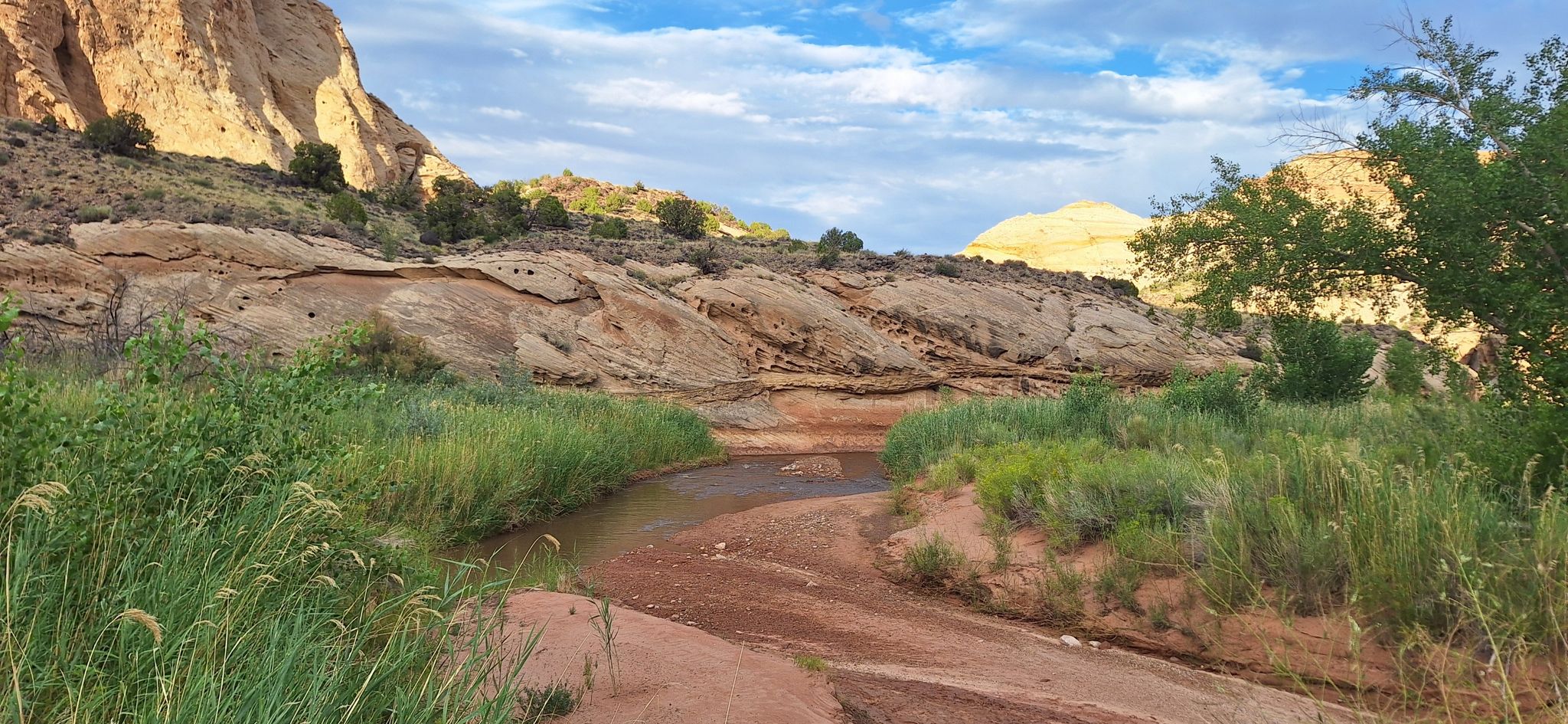 Winding stream through green grass in a desert canyon under cloudy sky. - Grand Wash Trail