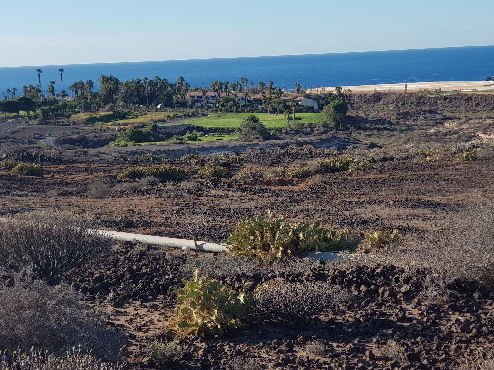 amarilla golf
