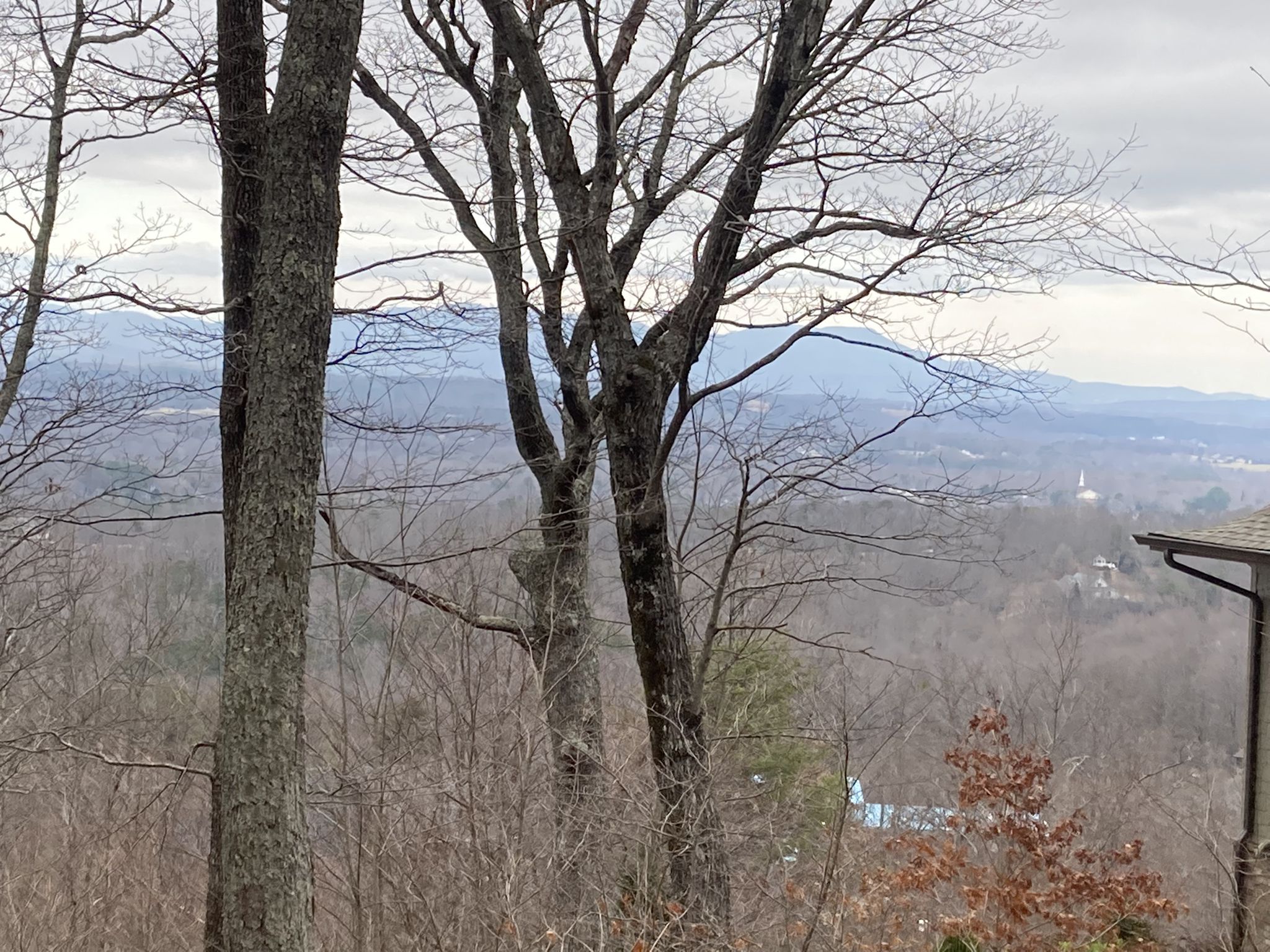 Bare trees frame a hazy mountain range and distant town. - Herdklotz Park – Paris Mountain loop from Greenville